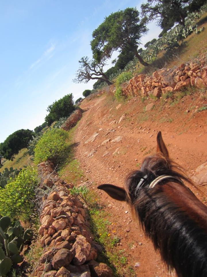 Moroccan In & Out - horseXperiences™ GO EQUESTRIAN