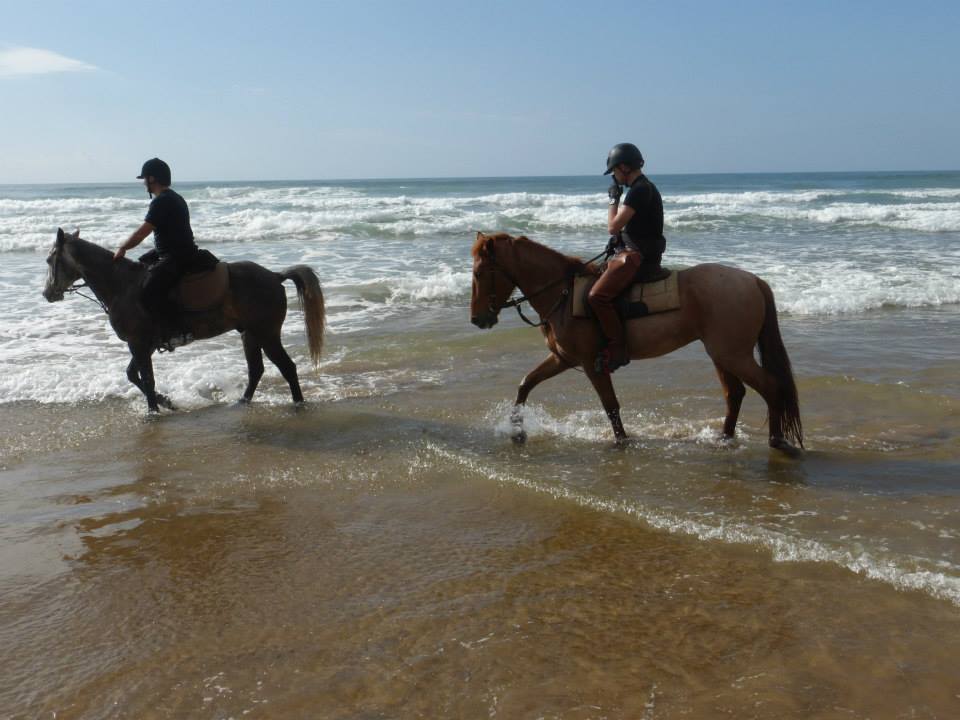 Moroccan In & Out - horseXperiences™ GO EQUESTRIAN