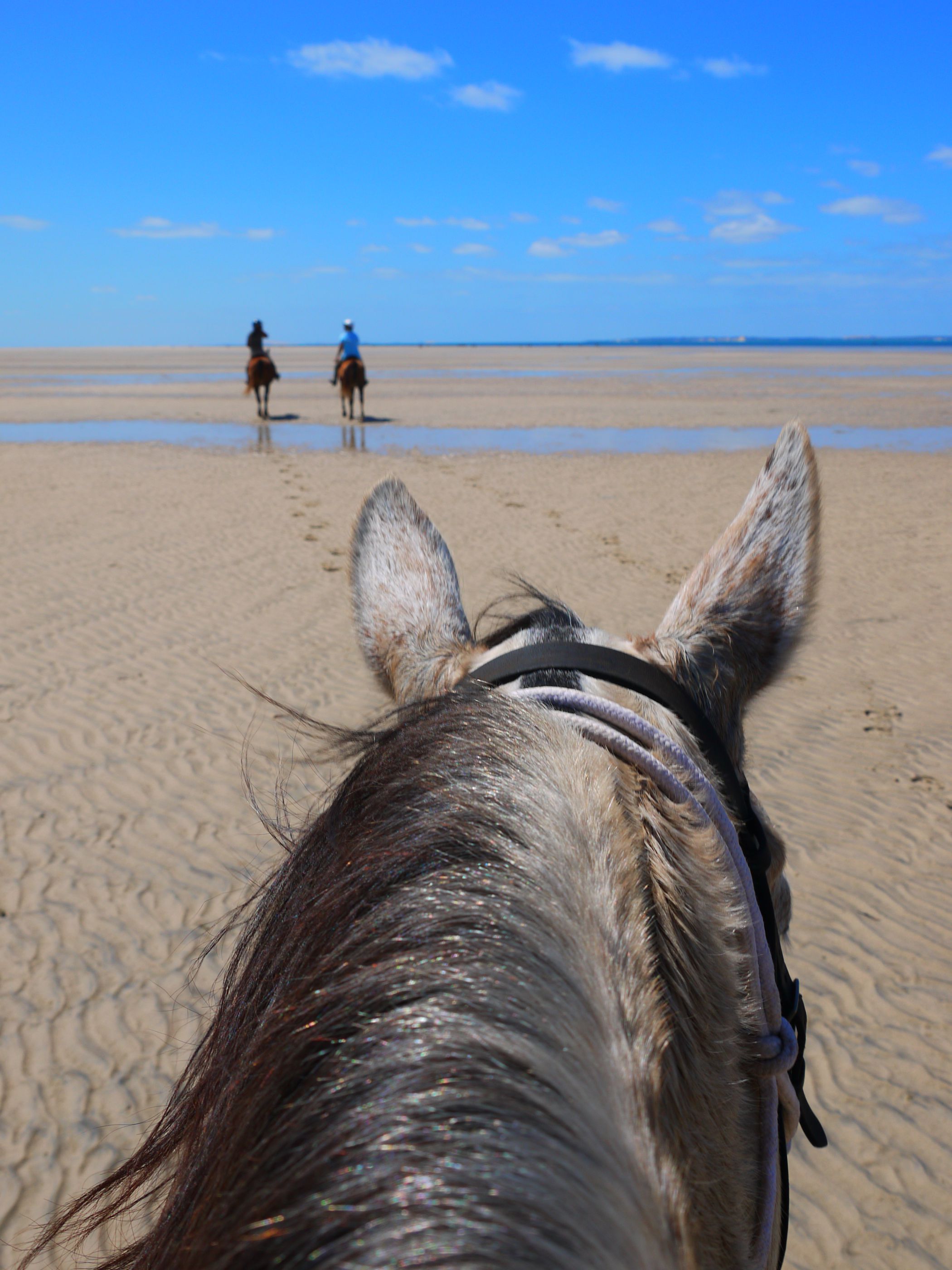 African Paradise - horseXperiences™ GO EQUESTRIAN