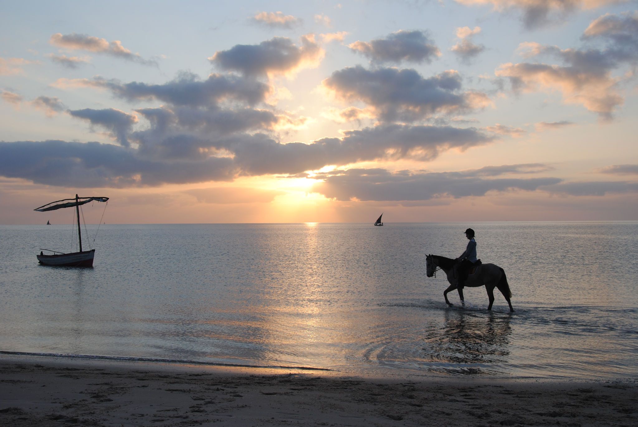 African Paradise - horseXperiences™ GO EQUESTRIAN