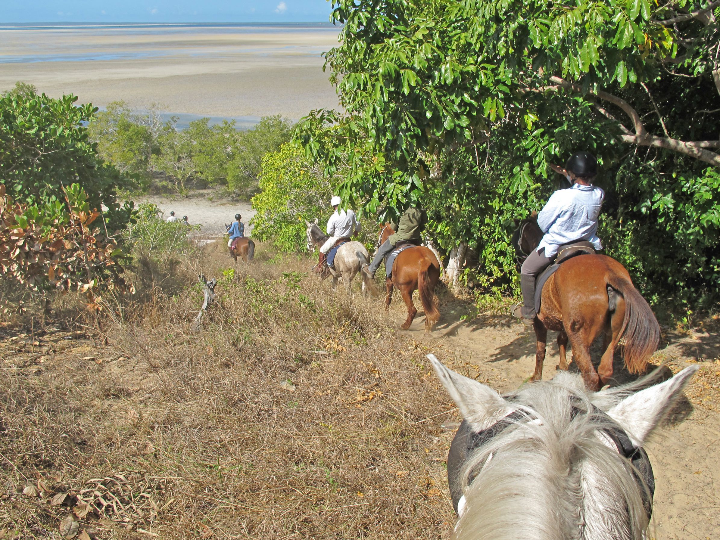 African Paradise - horseXperiences™ GO EQUESTRIAN