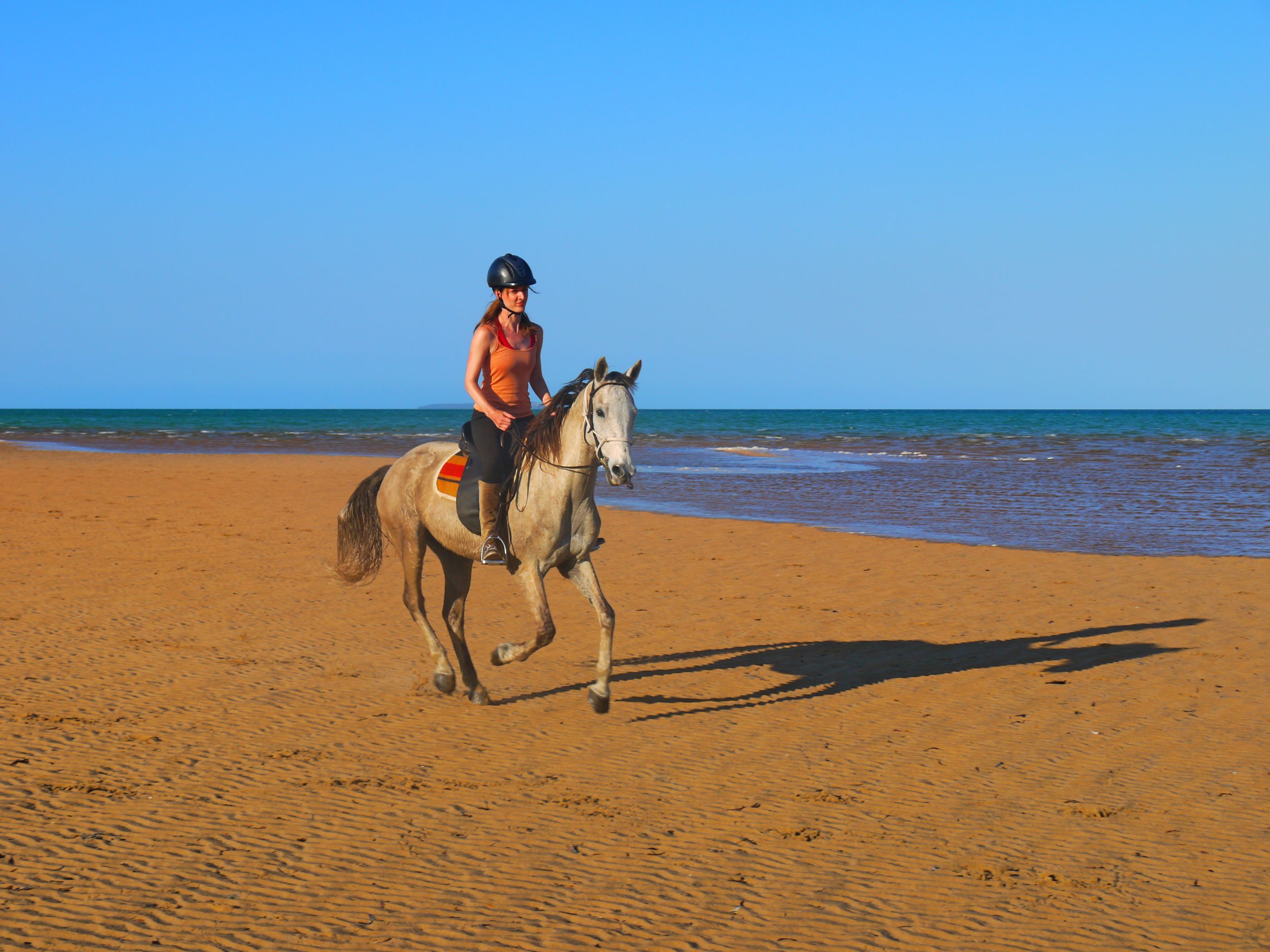 African Paradise - horseXperiences™ GO EQUESTRIAN