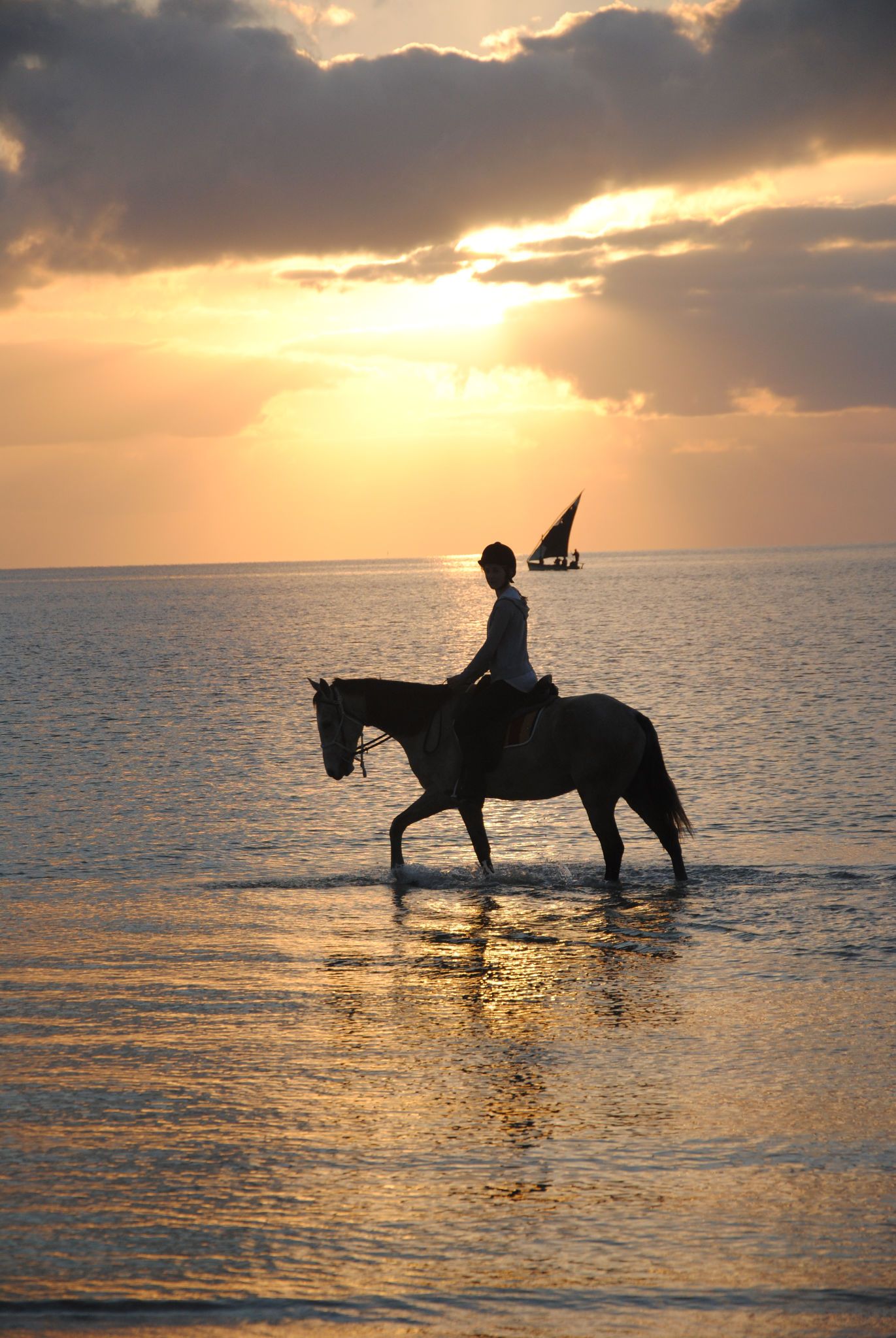 African Paradise - horseXperiences™ GO EQUESTRIAN
