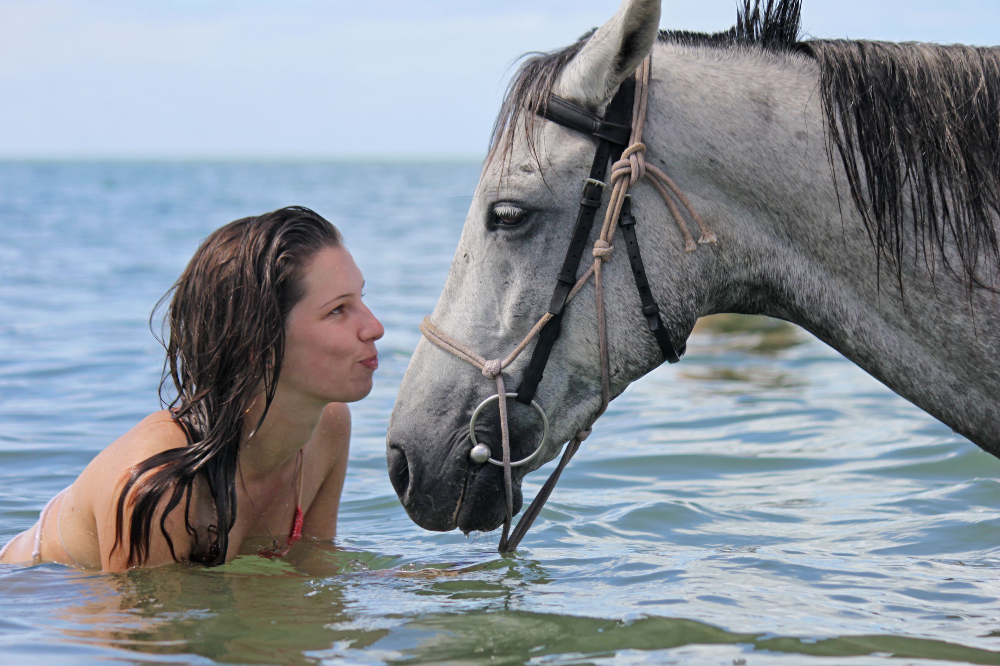 African Paradise - horseXperiences™ GO EQUESTRIAN