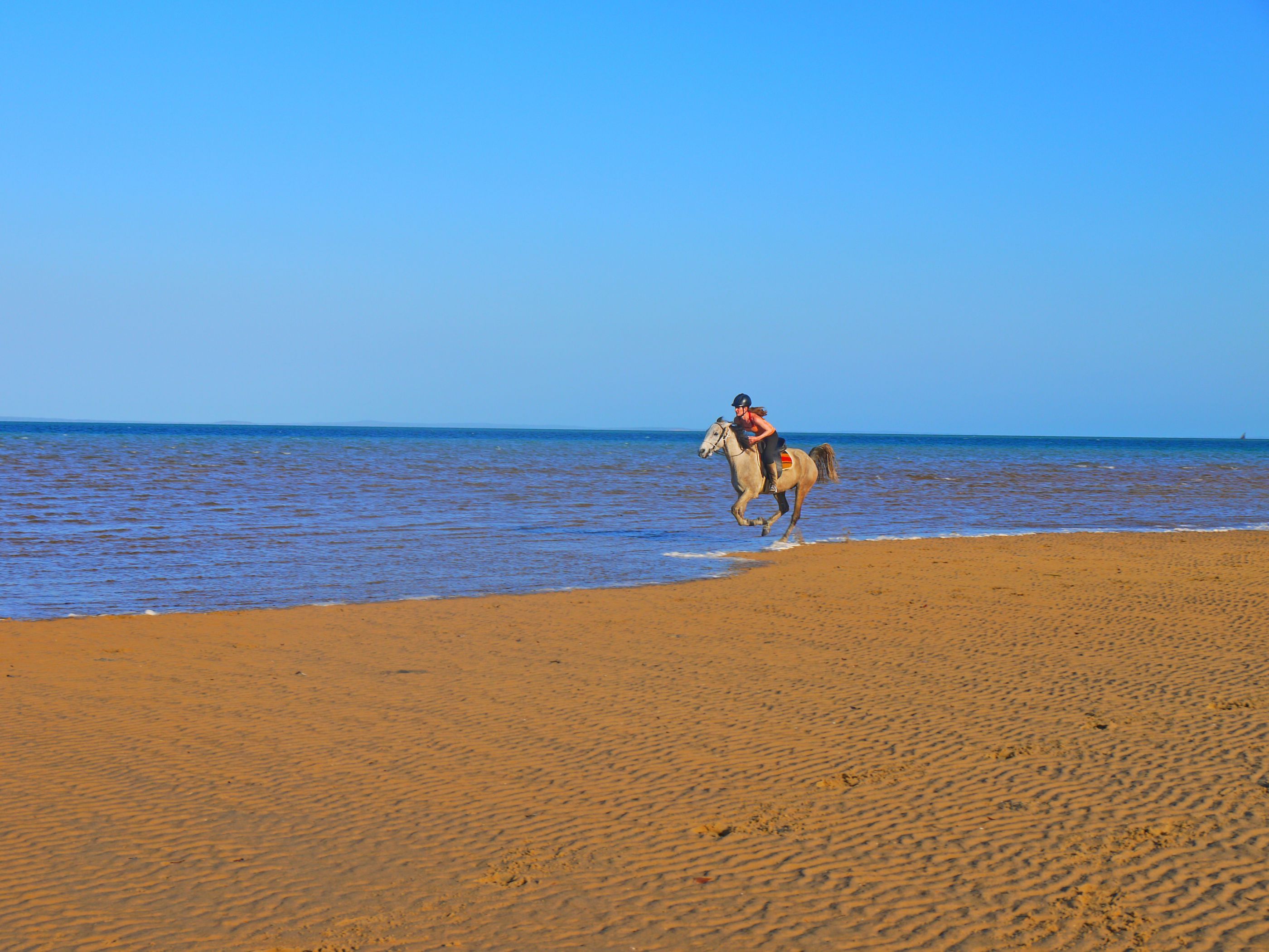 African Paradise - horseXperiences™ GO EQUESTRIAN