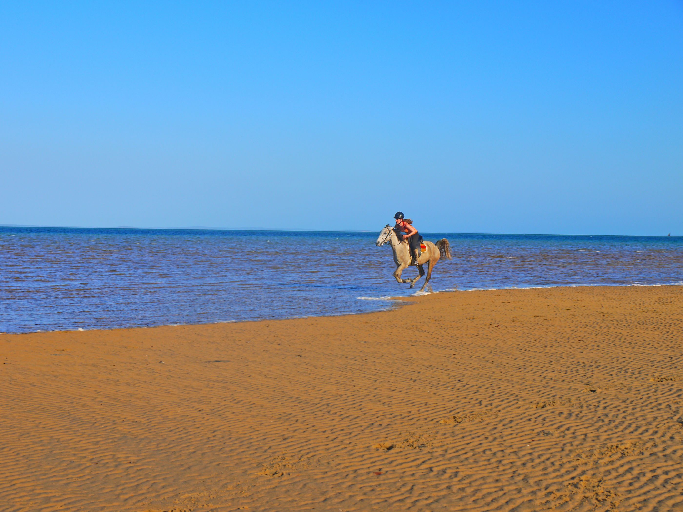African Paradise - horseXperiences™ GO EQUESTRIAN