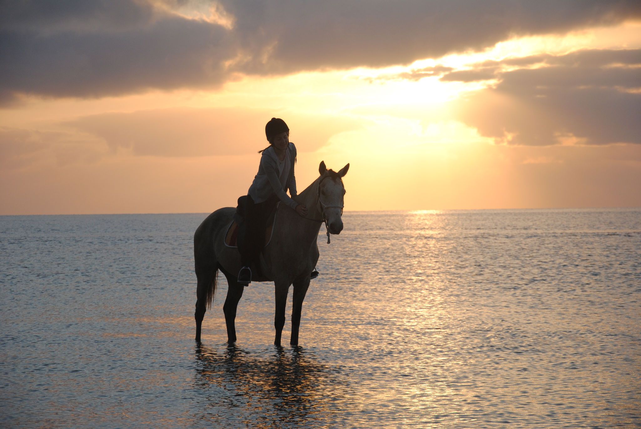 African Paradise - horseXperiences™ GO EQUESTRIAN