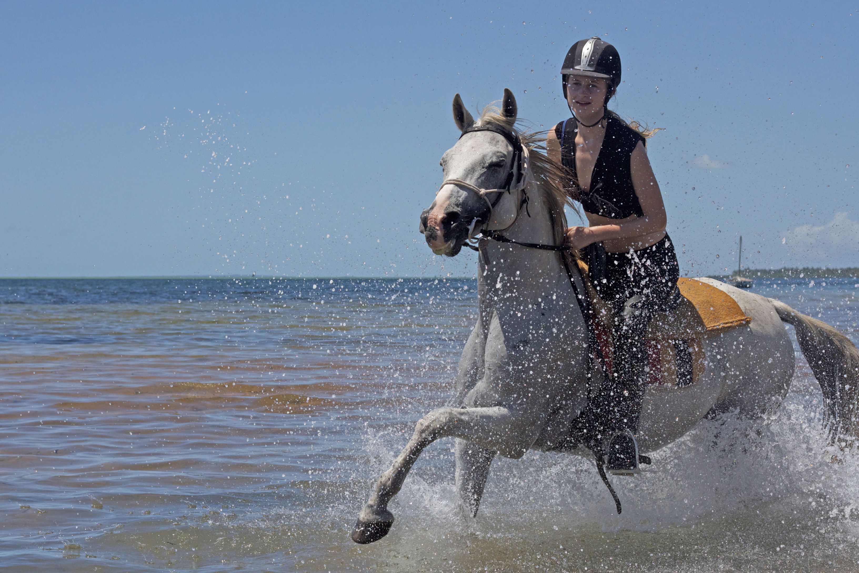 African Paradise - horseXperiences™ GO EQUESTRIAN