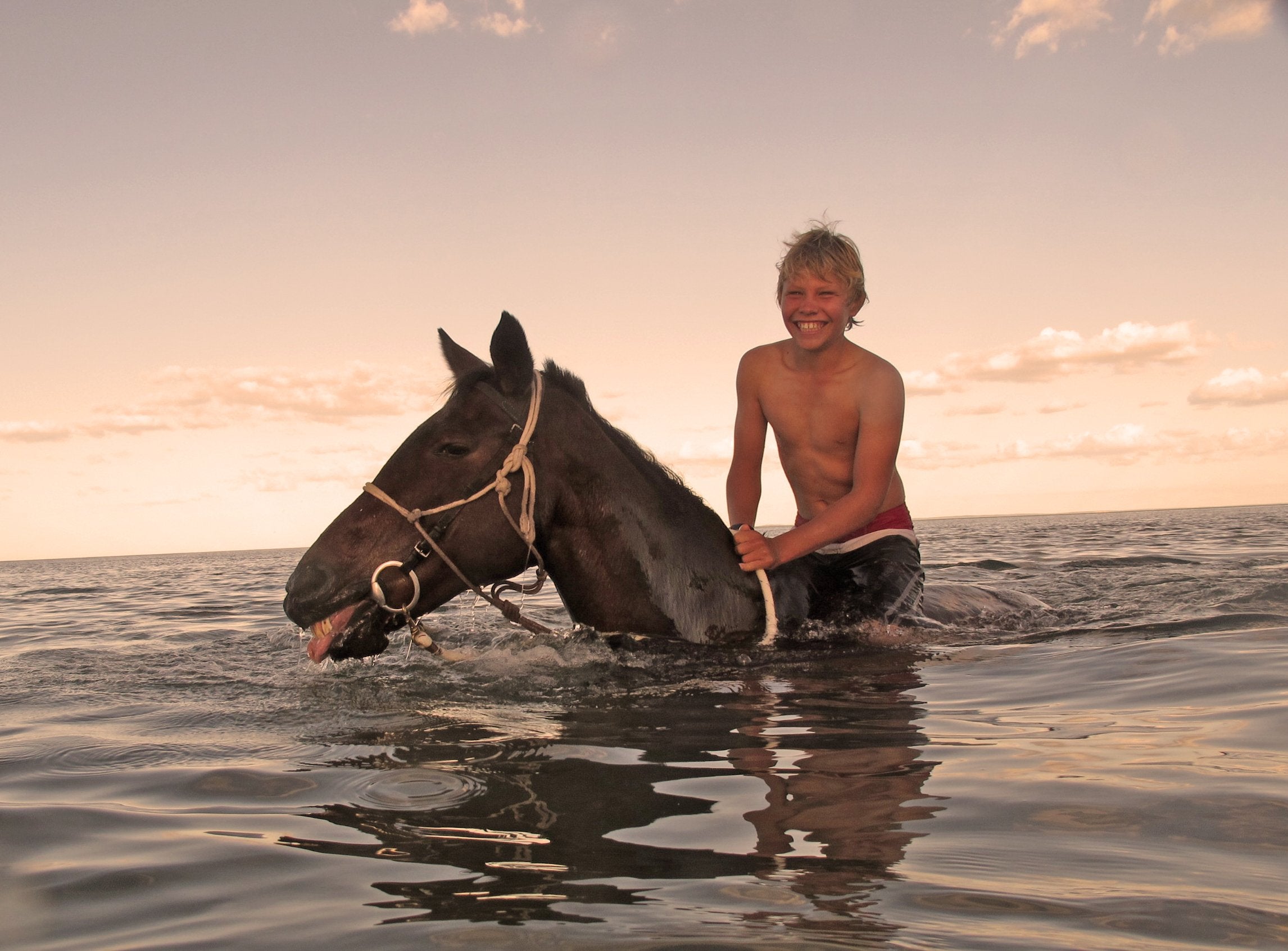 African Paradise - horseXperiences™ GO EQUESTRIAN