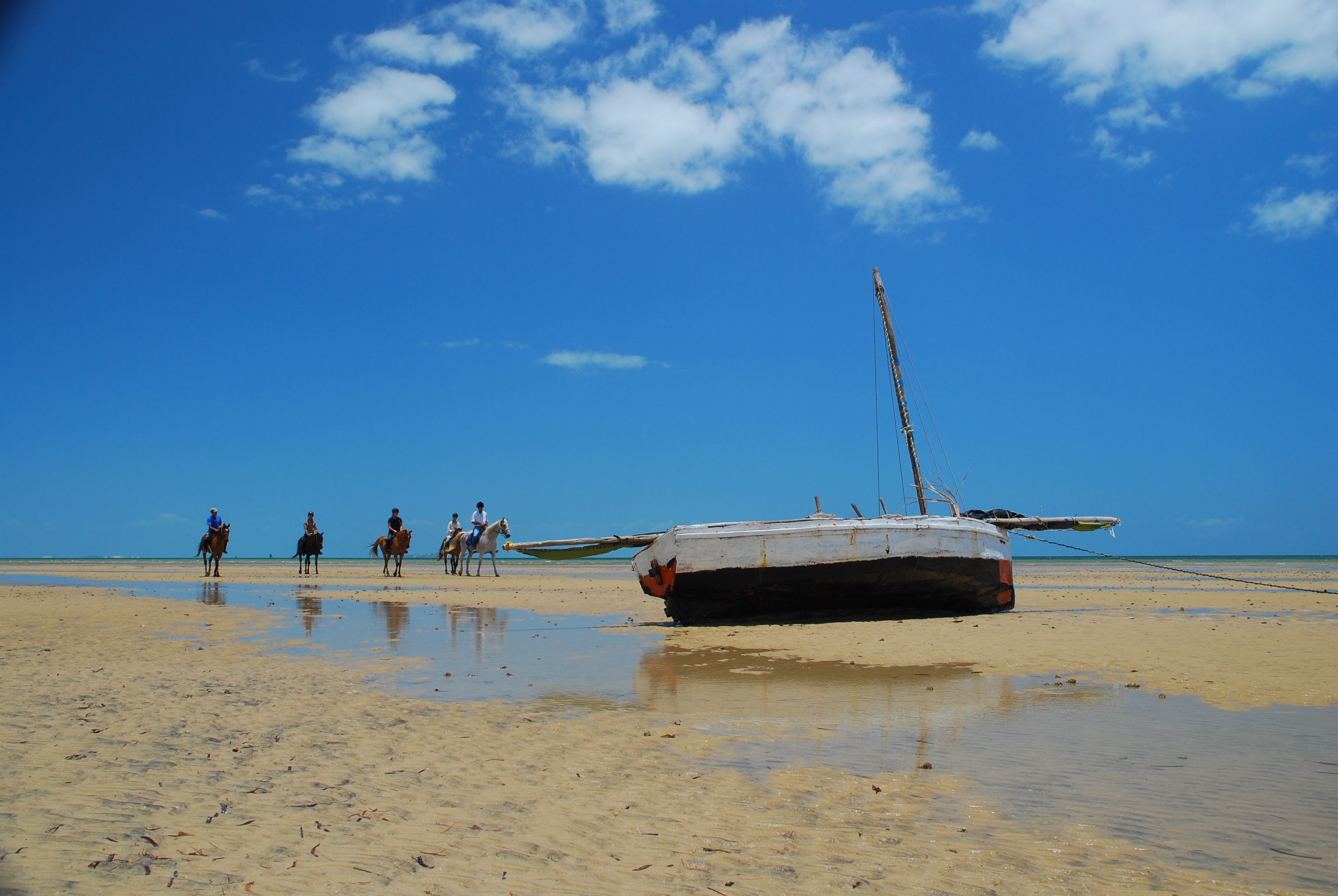 African Paradise - horseXperiences™ GO EQUESTRIAN