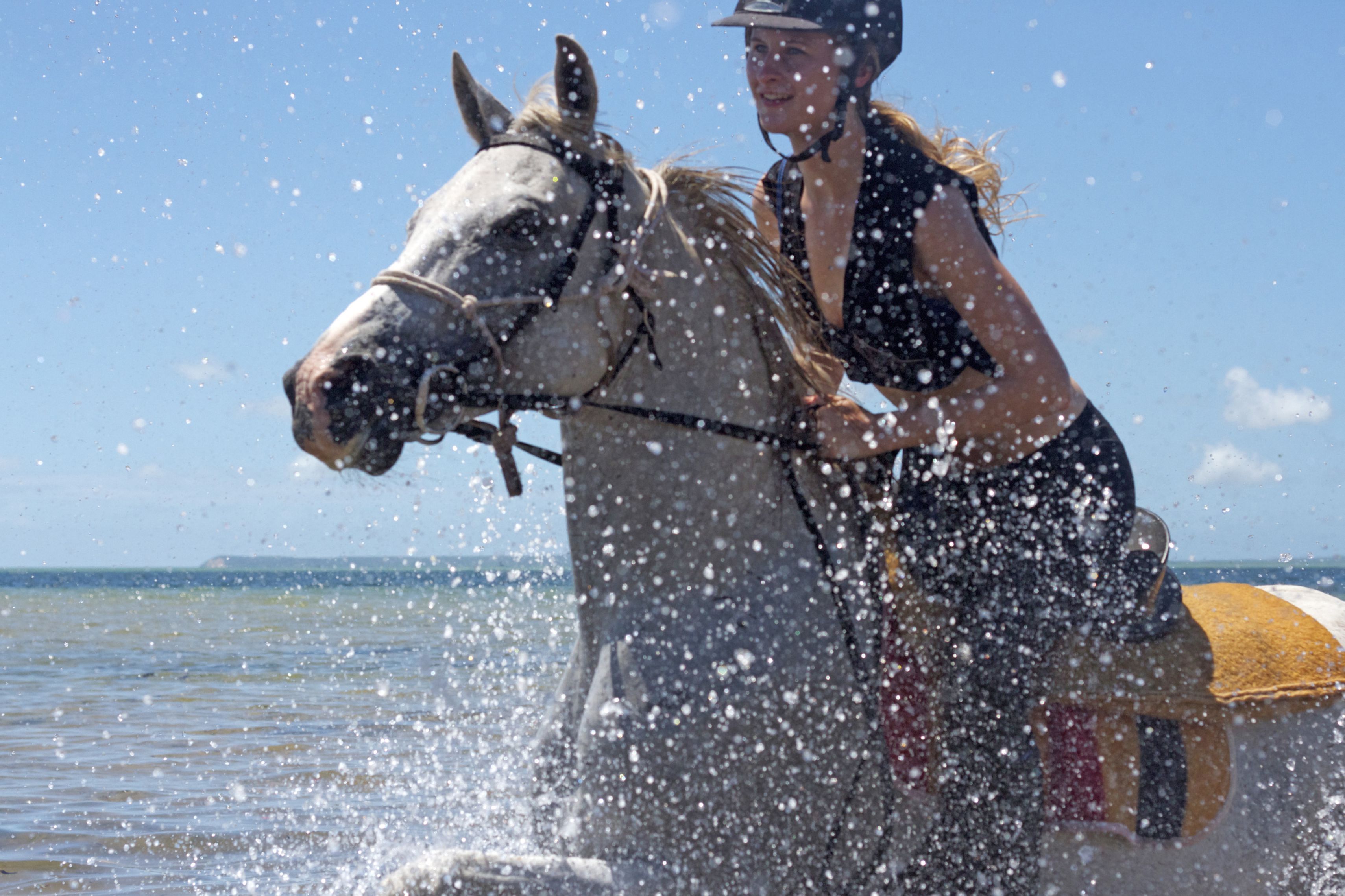 African Paradise - horseXperiences™ GO EQUESTRIAN