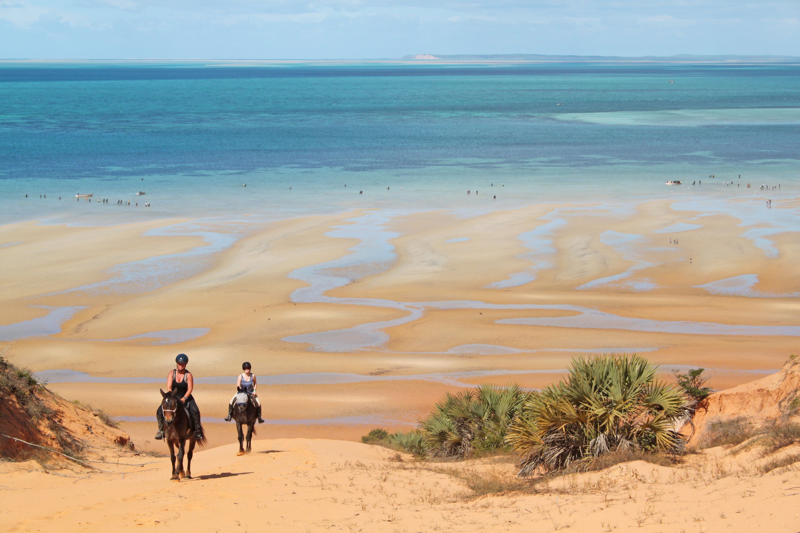 African Paradise - horseXperiences™ GO EQUESTRIAN
