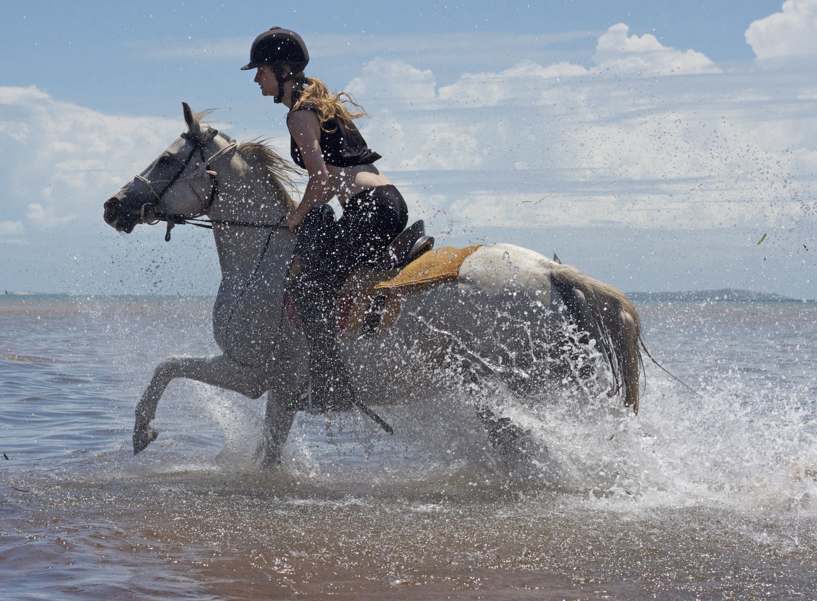 African Paradise - horseXperiences™ GO EQUESTRIAN