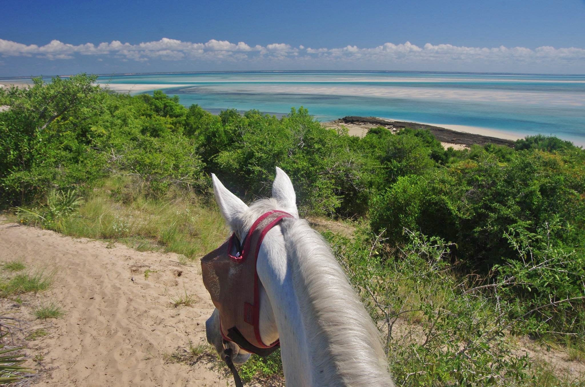 African Paradise - horseXperiences™ GO EQUESTRIAN