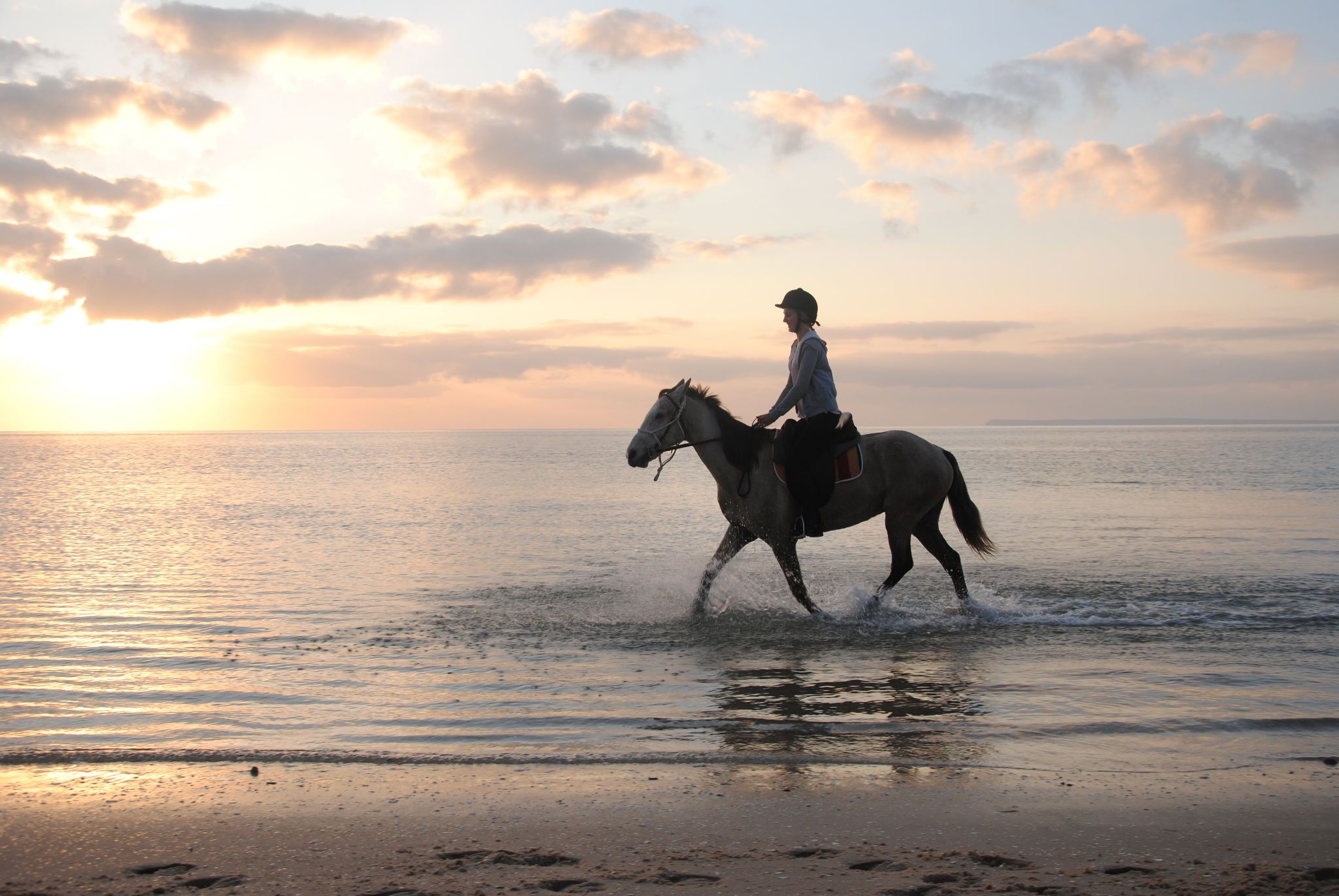 African Paradise - horseXperiences™ GO EQUESTRIAN