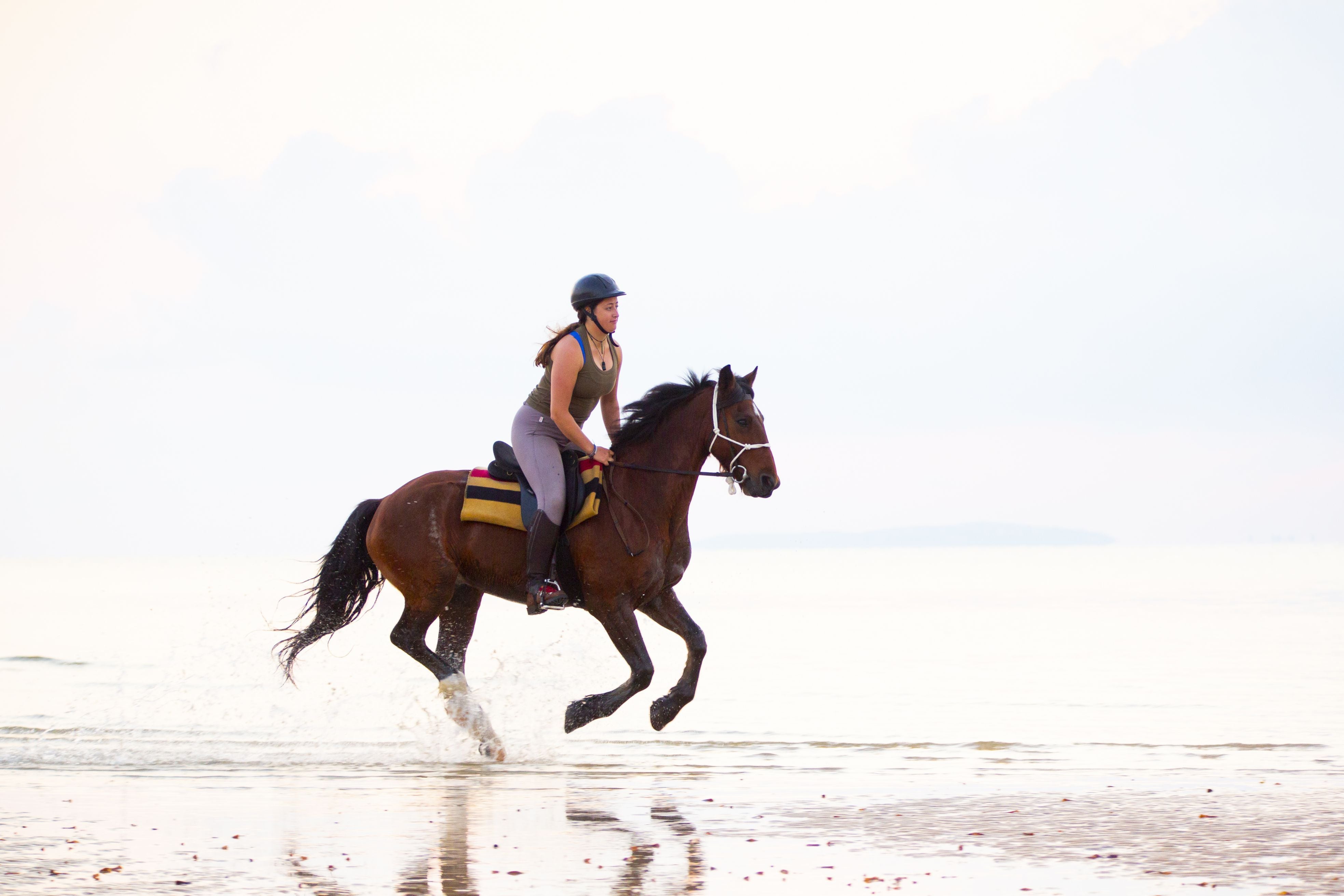 African Paradise - horseXperiences™ GO EQUESTRIAN