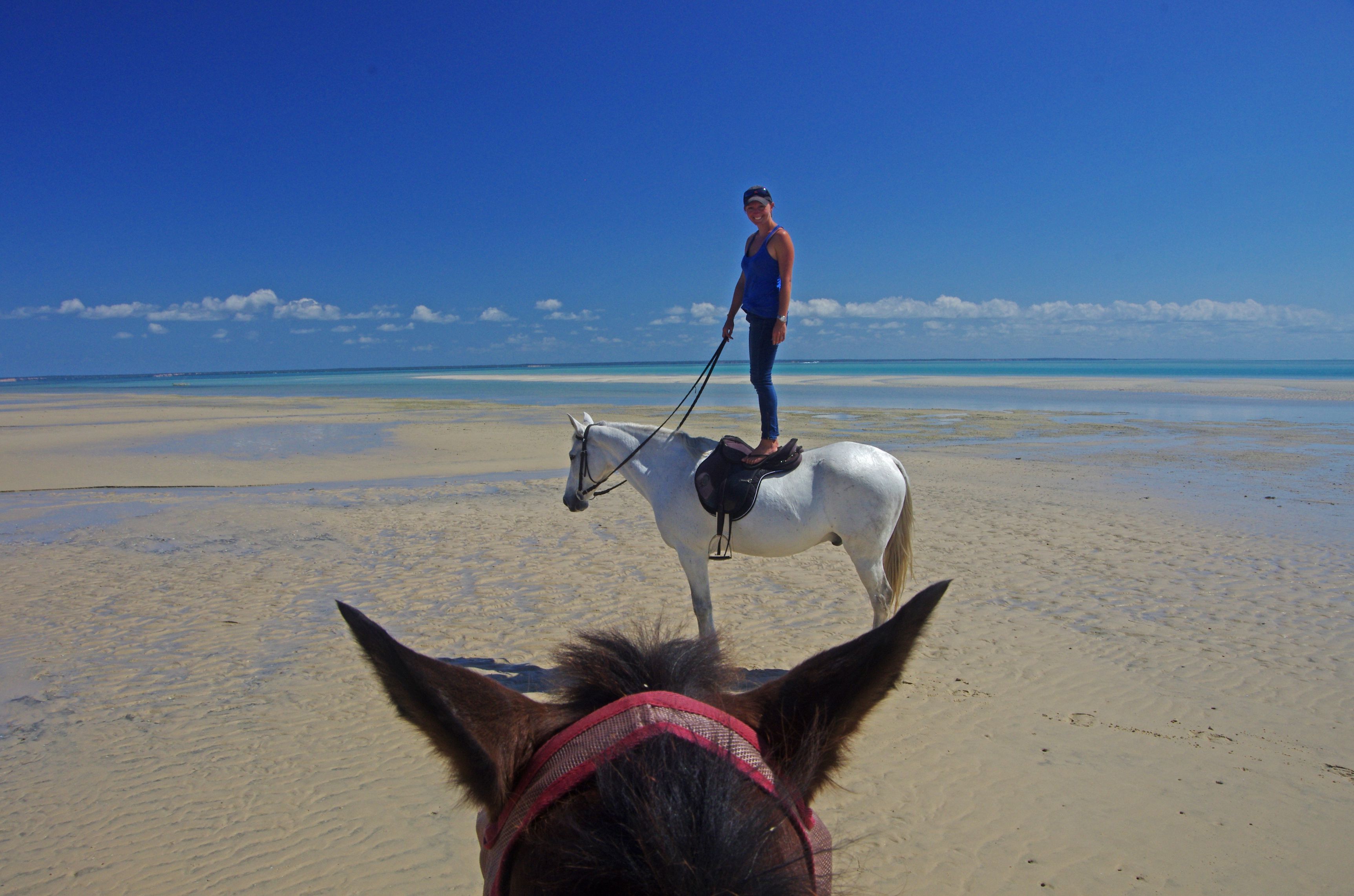 African Paradise - horseXperiences™ GO EQUESTRIAN