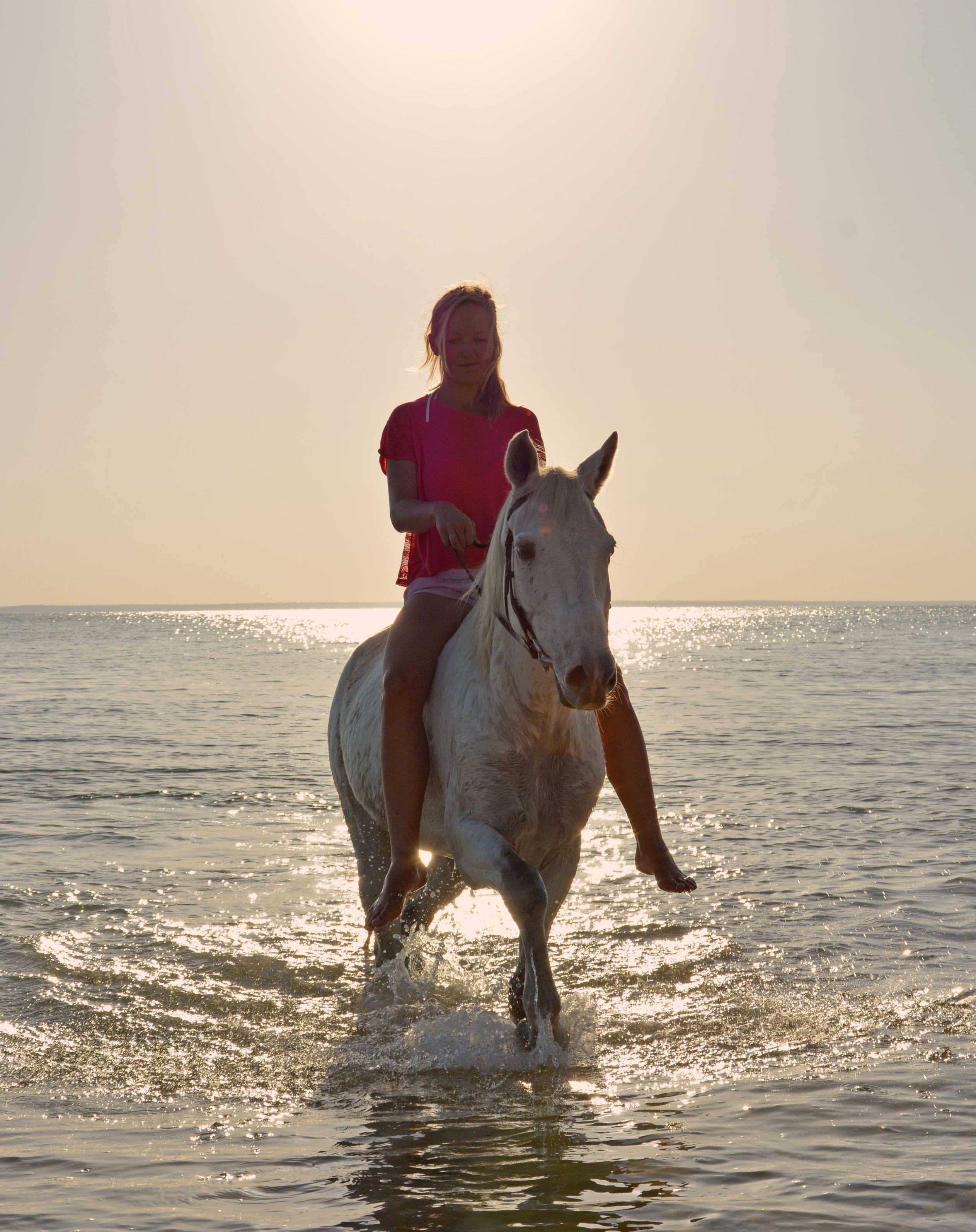 African Paradise - horseXperiences™ GO EQUESTRIAN