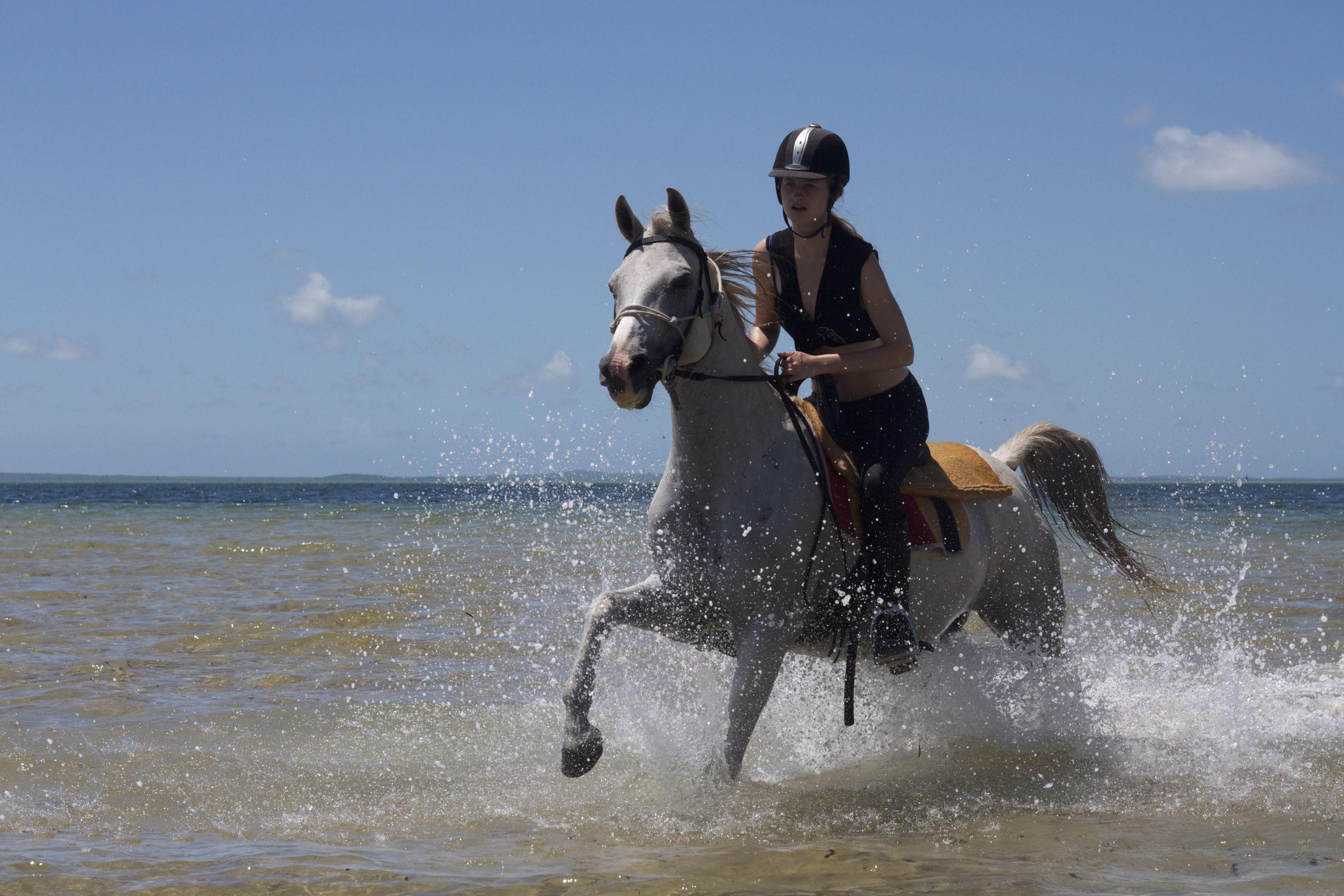 African Paradise - horseXperiences™ GO EQUESTRIAN