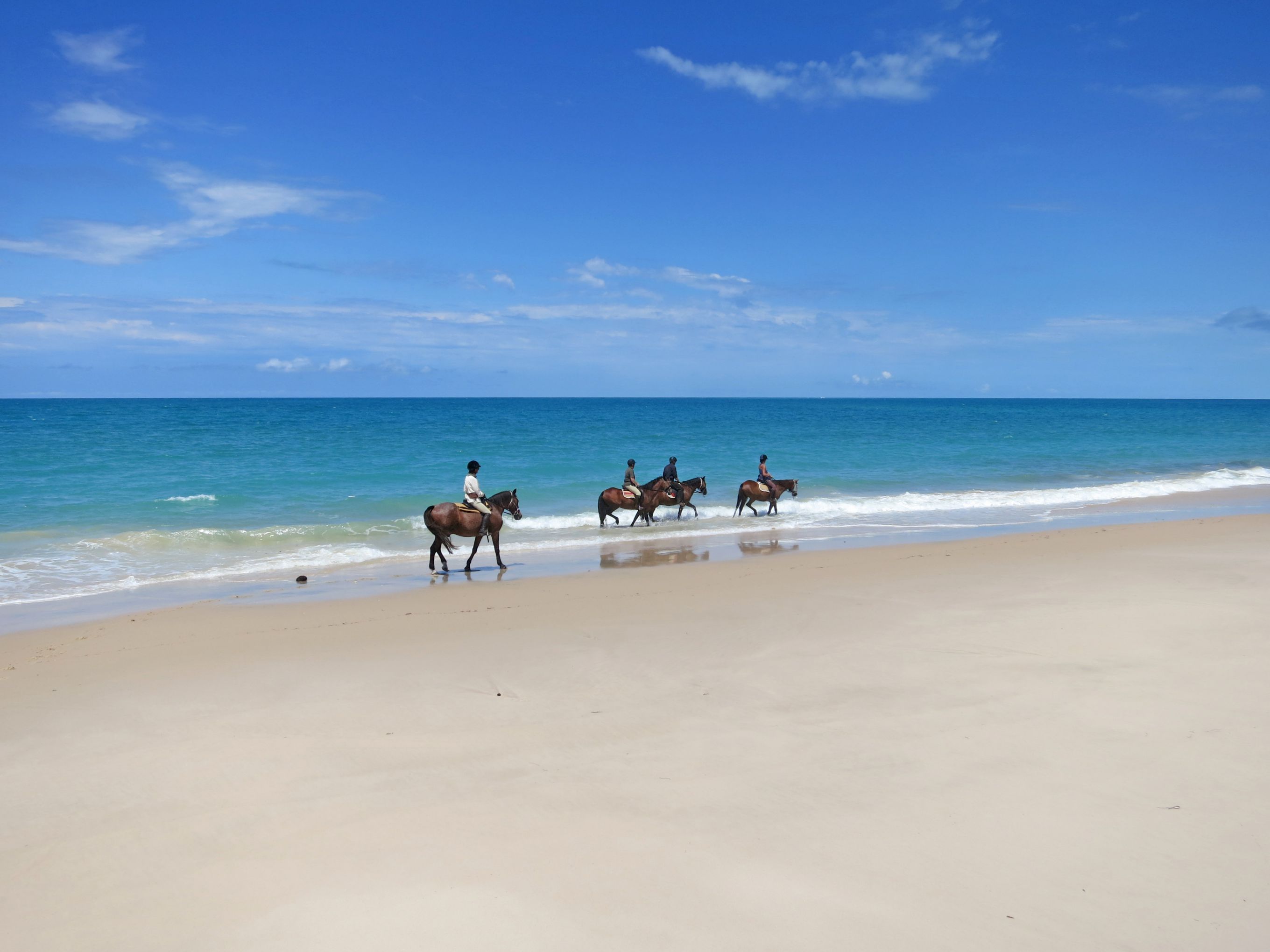 African Paradise - horseXperiences™ GO EQUESTRIAN