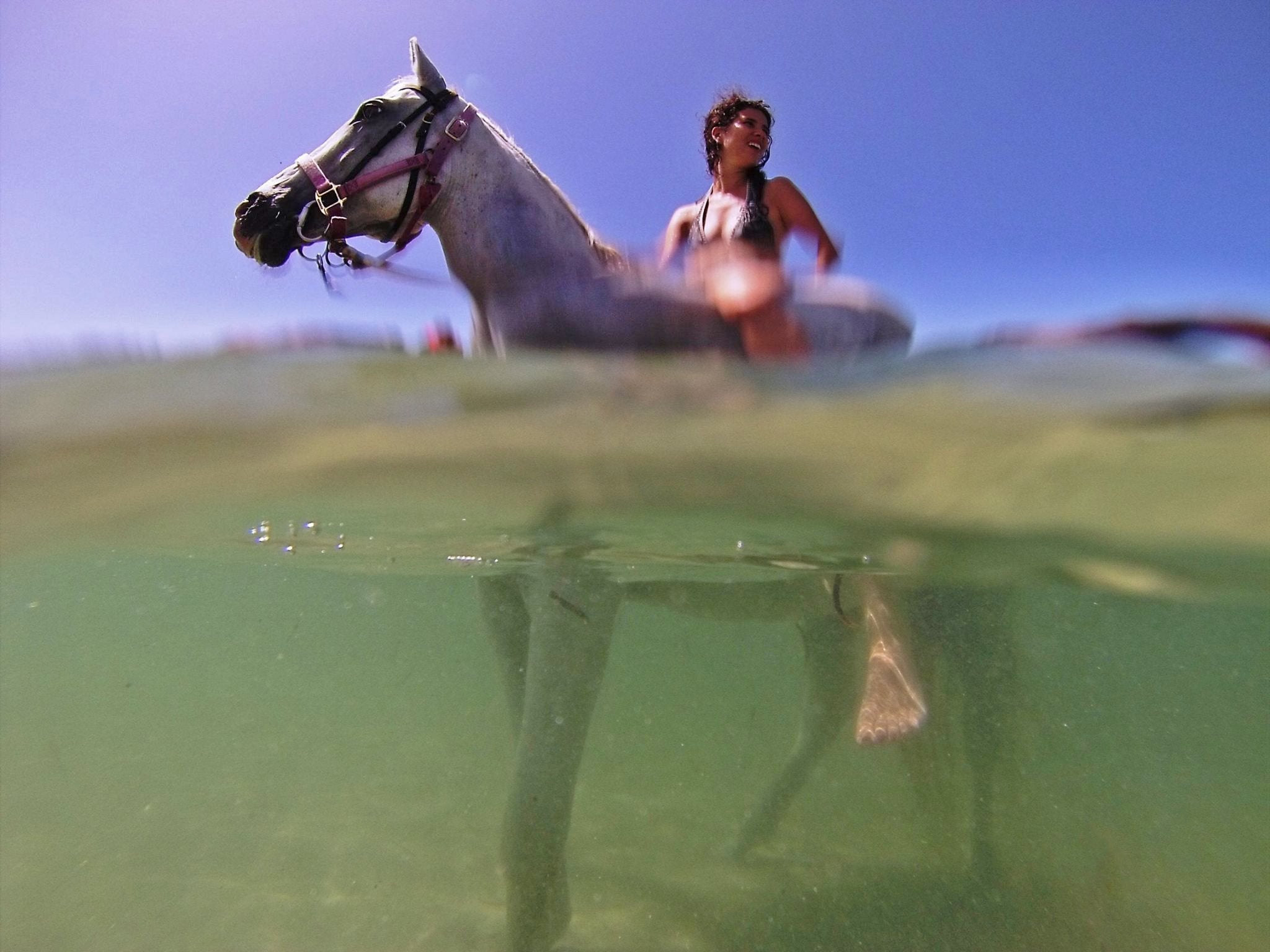African Paradise - horseXperiences™ GO EQUESTRIAN