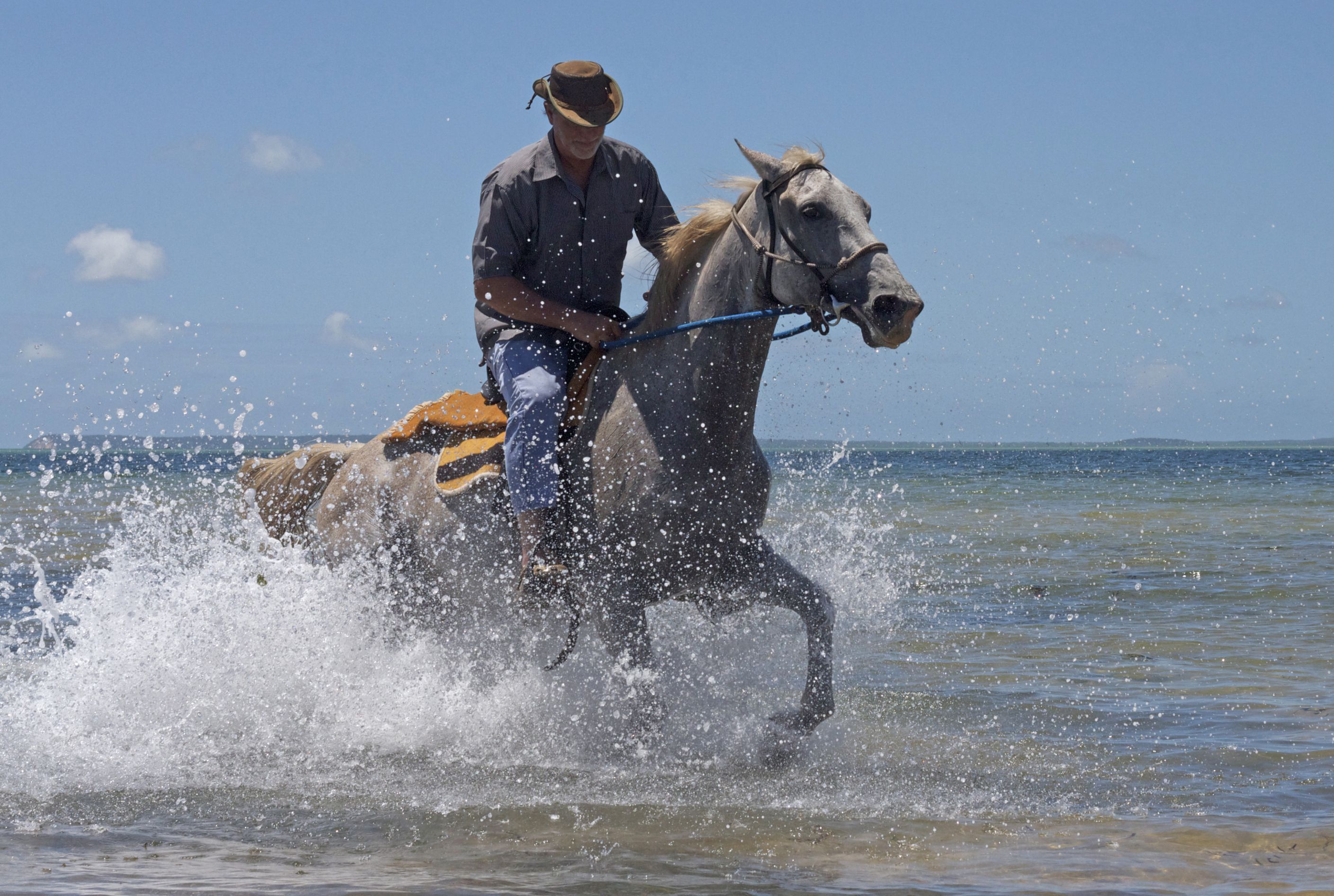 African Paradise - horseXperiences™ GO EQUESTRIAN