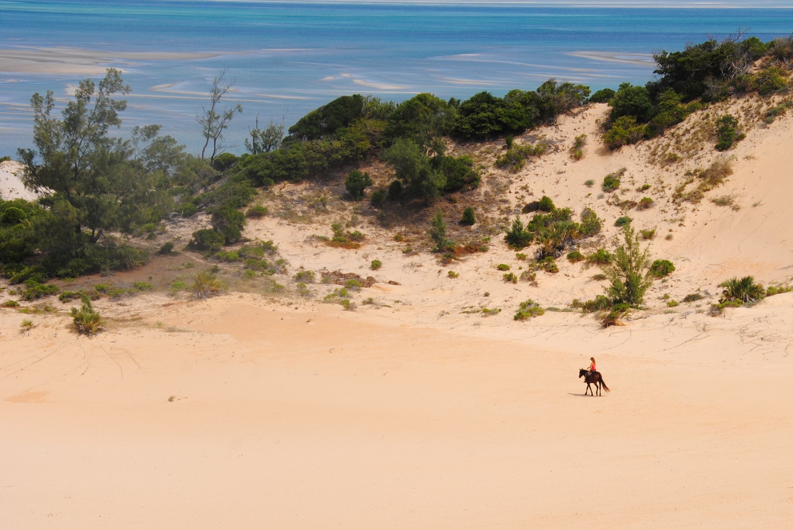 African Paradise - horseXperiences™ GO EQUESTRIAN