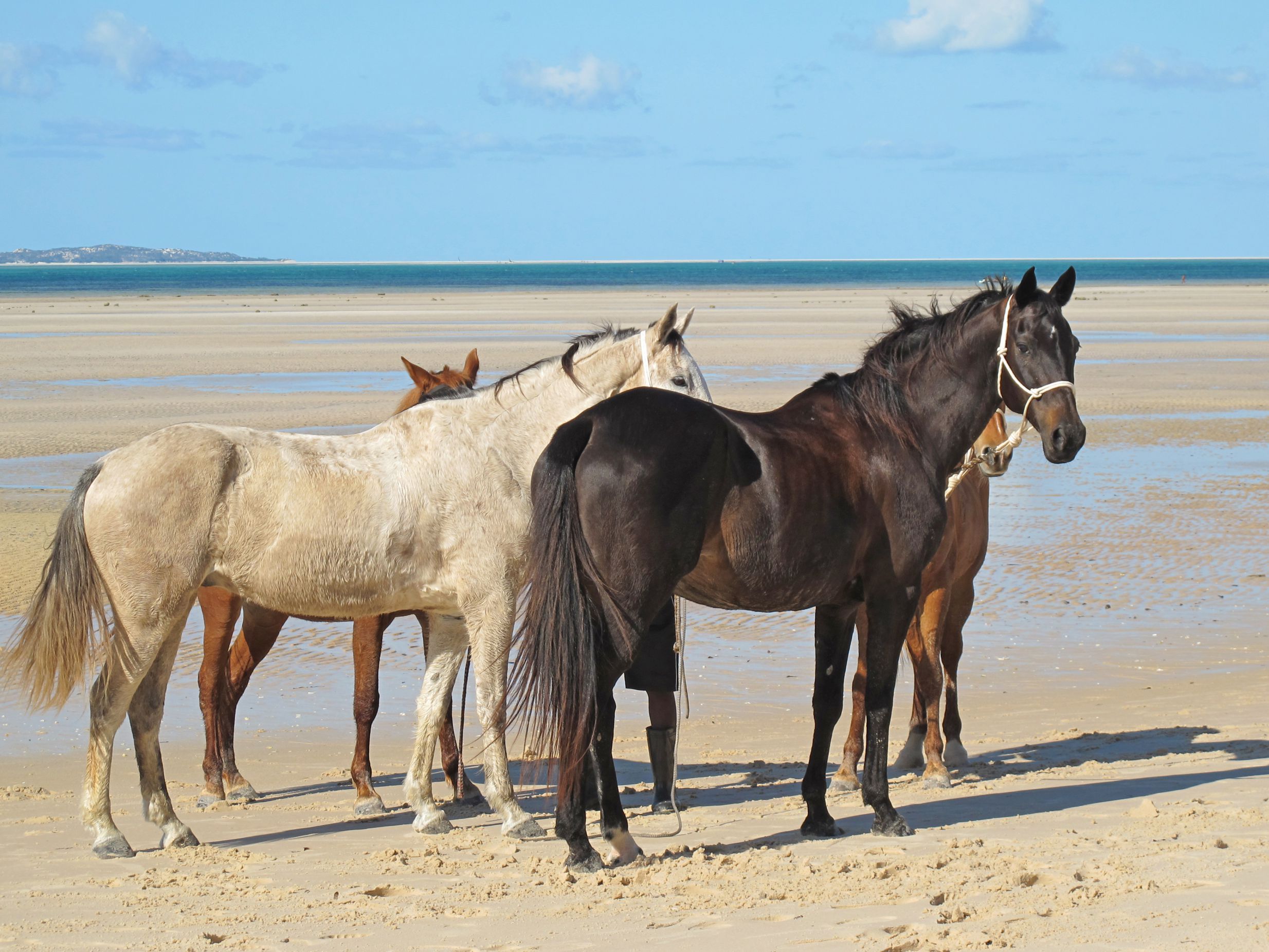 African Paradise - horseXperiences™ GO EQUESTRIAN