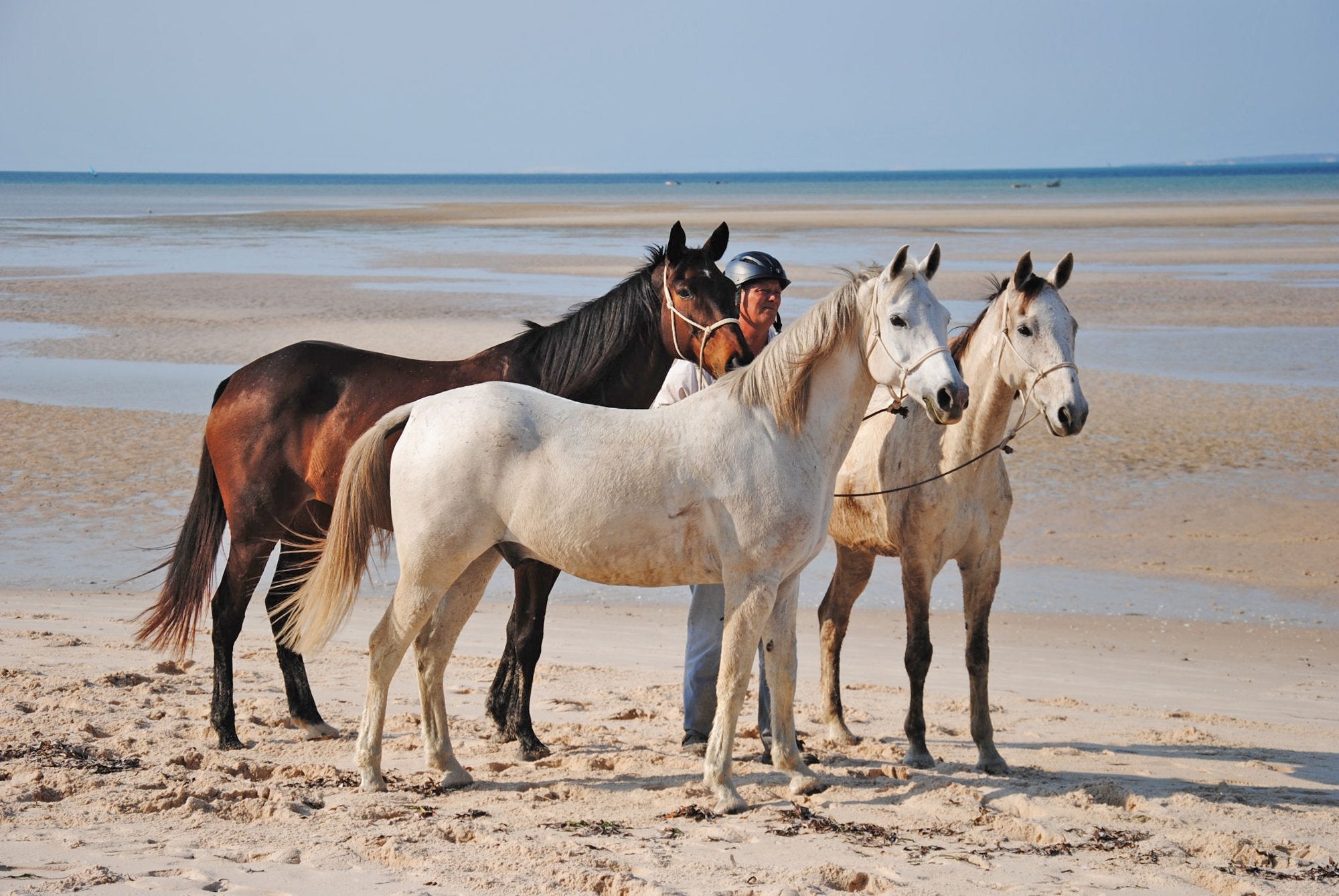 African Paradise - horseXperiences™ GO EQUESTRIAN