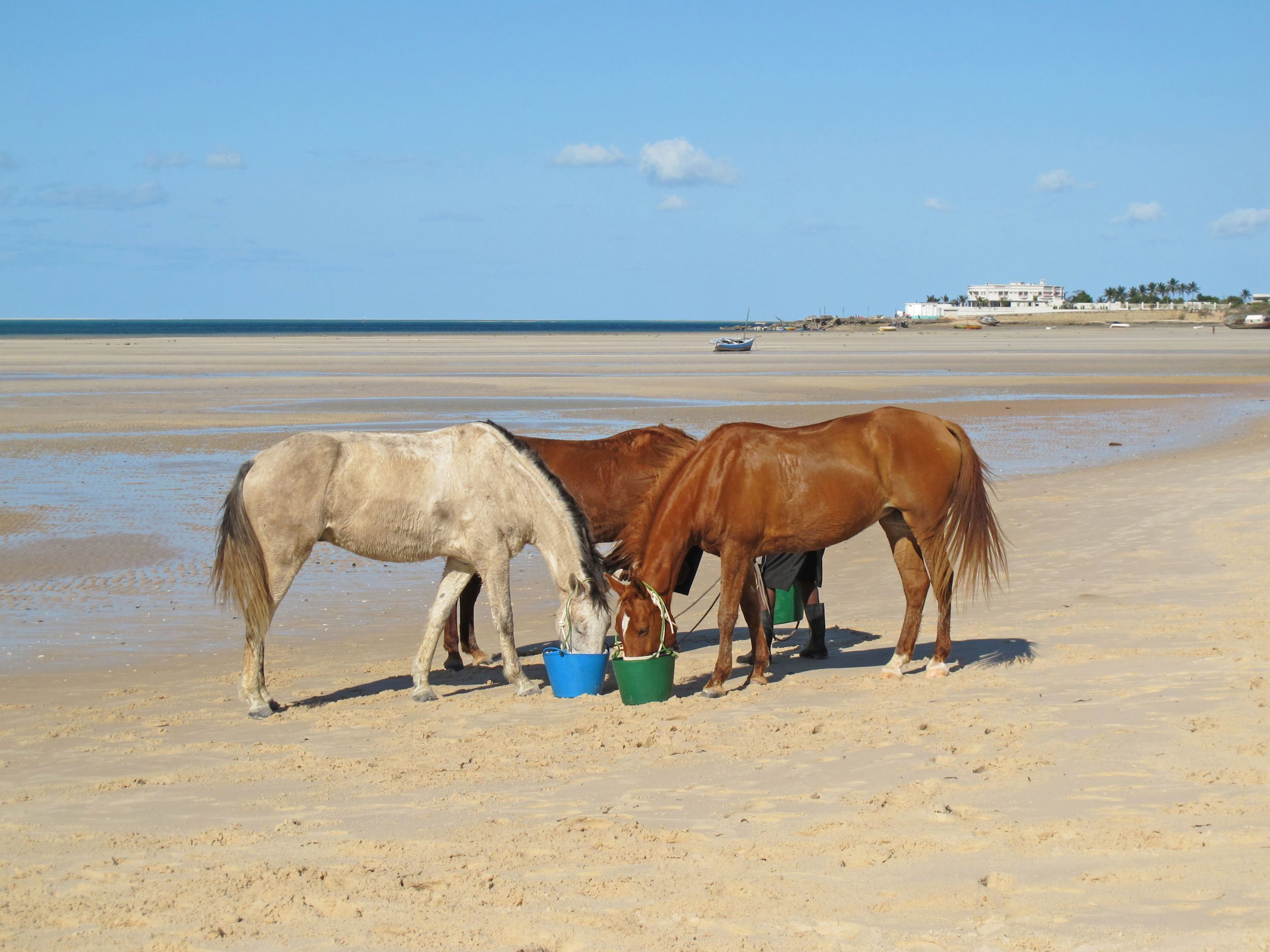 African Paradise - horseXperiences™ GO EQUESTRIAN