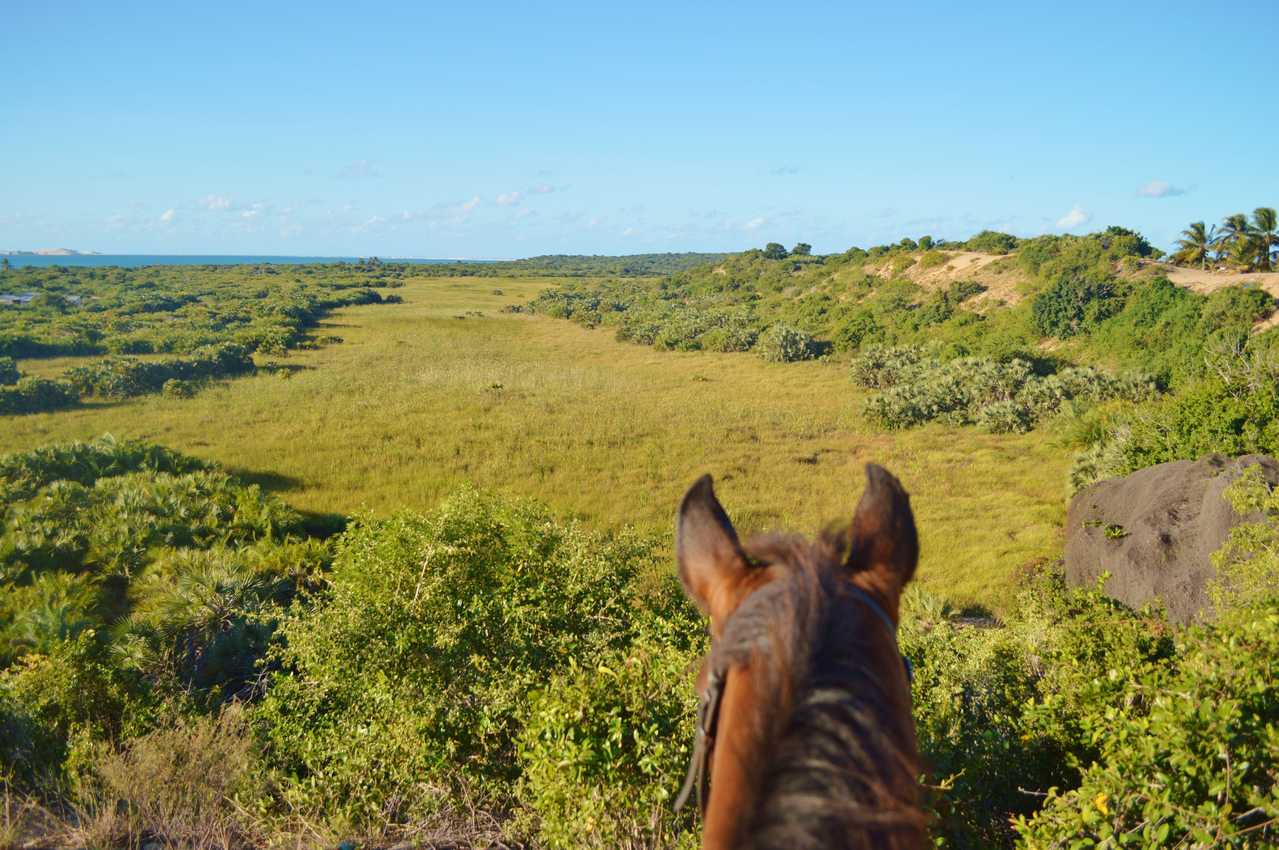 African Paradise - horseXperiences™ GO EQUESTRIAN