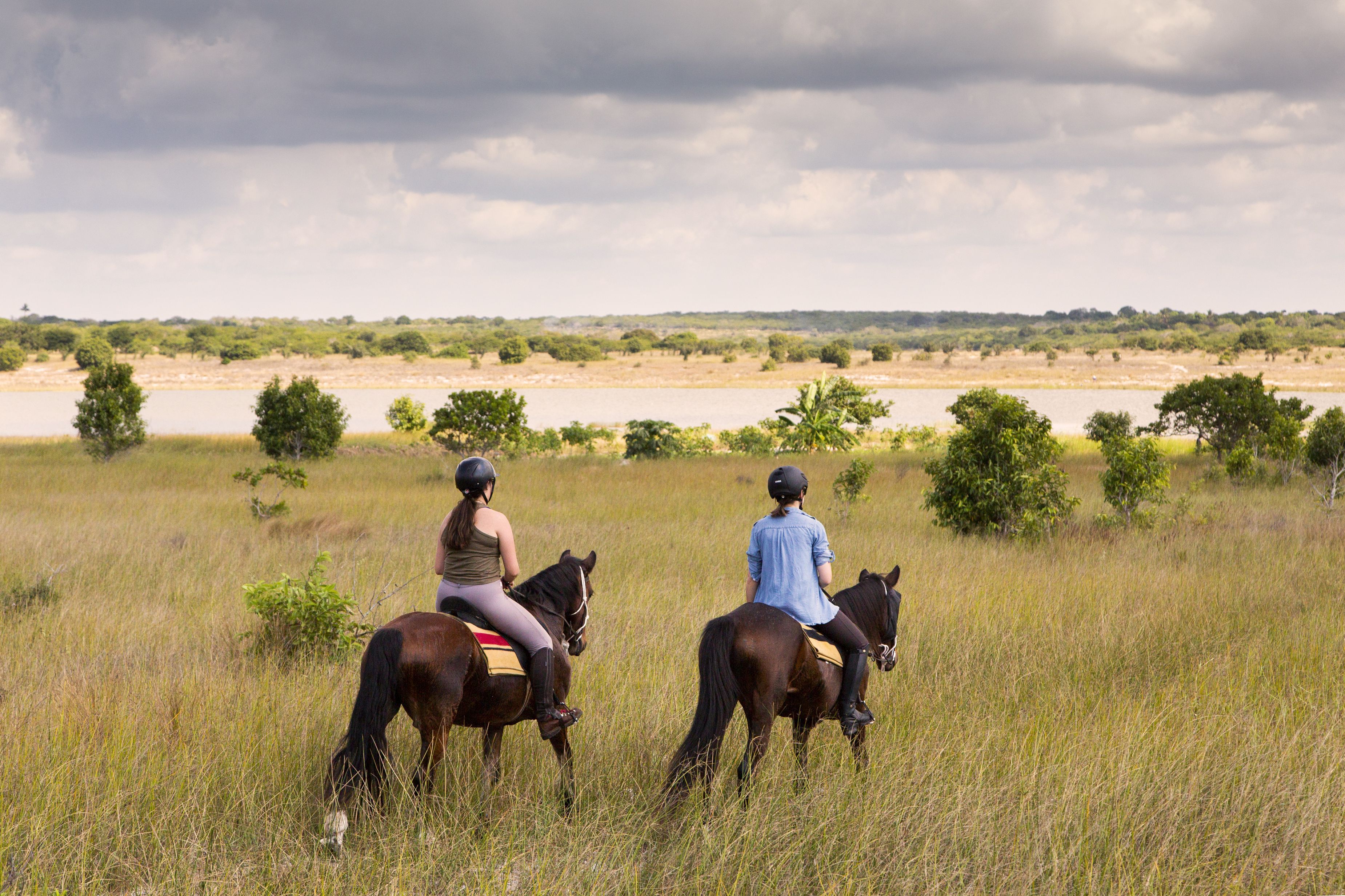 African Paradise - horseXperiences™ GO EQUESTRIAN