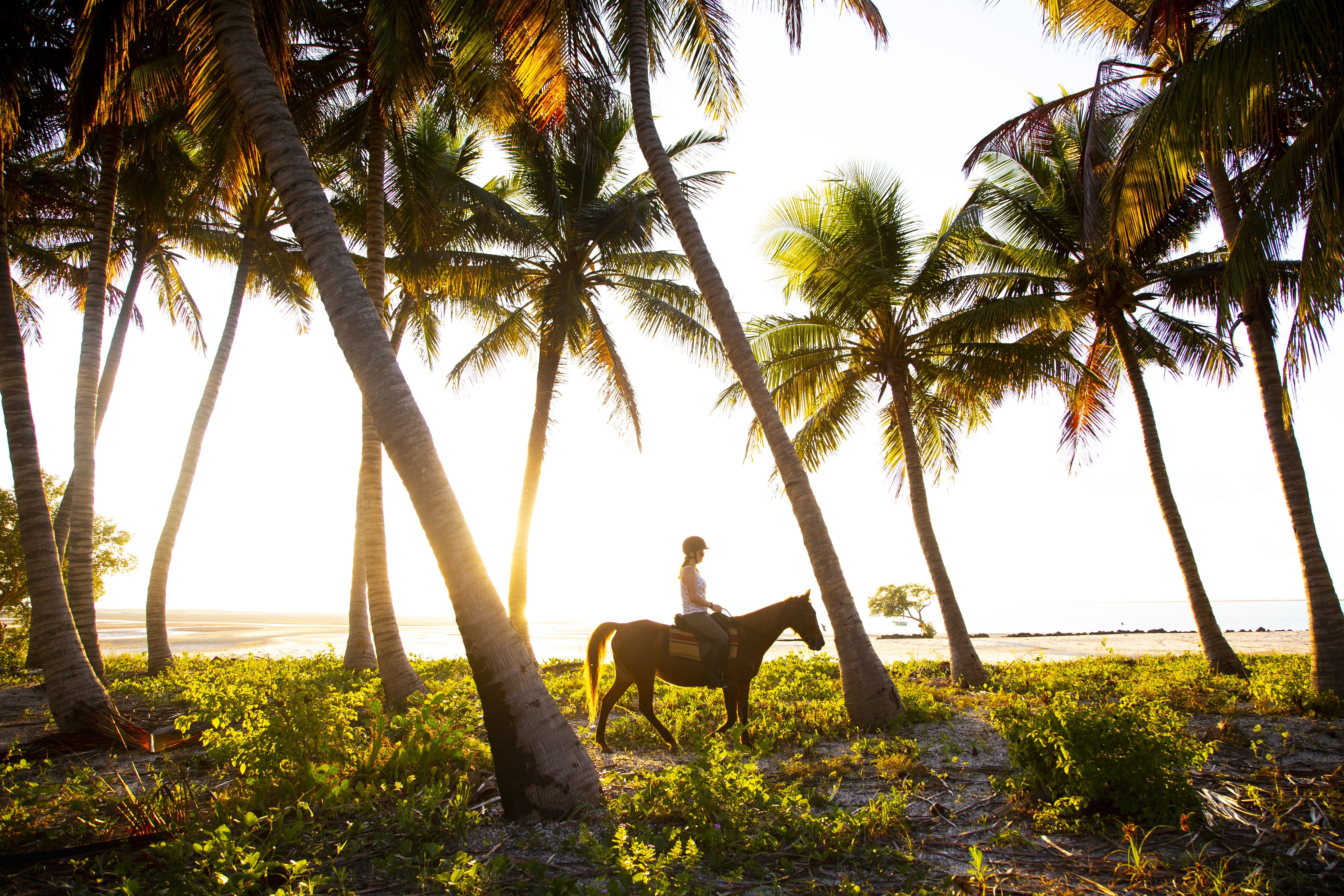 African Paradise - horseXperiences™ GO EQUESTRIAN