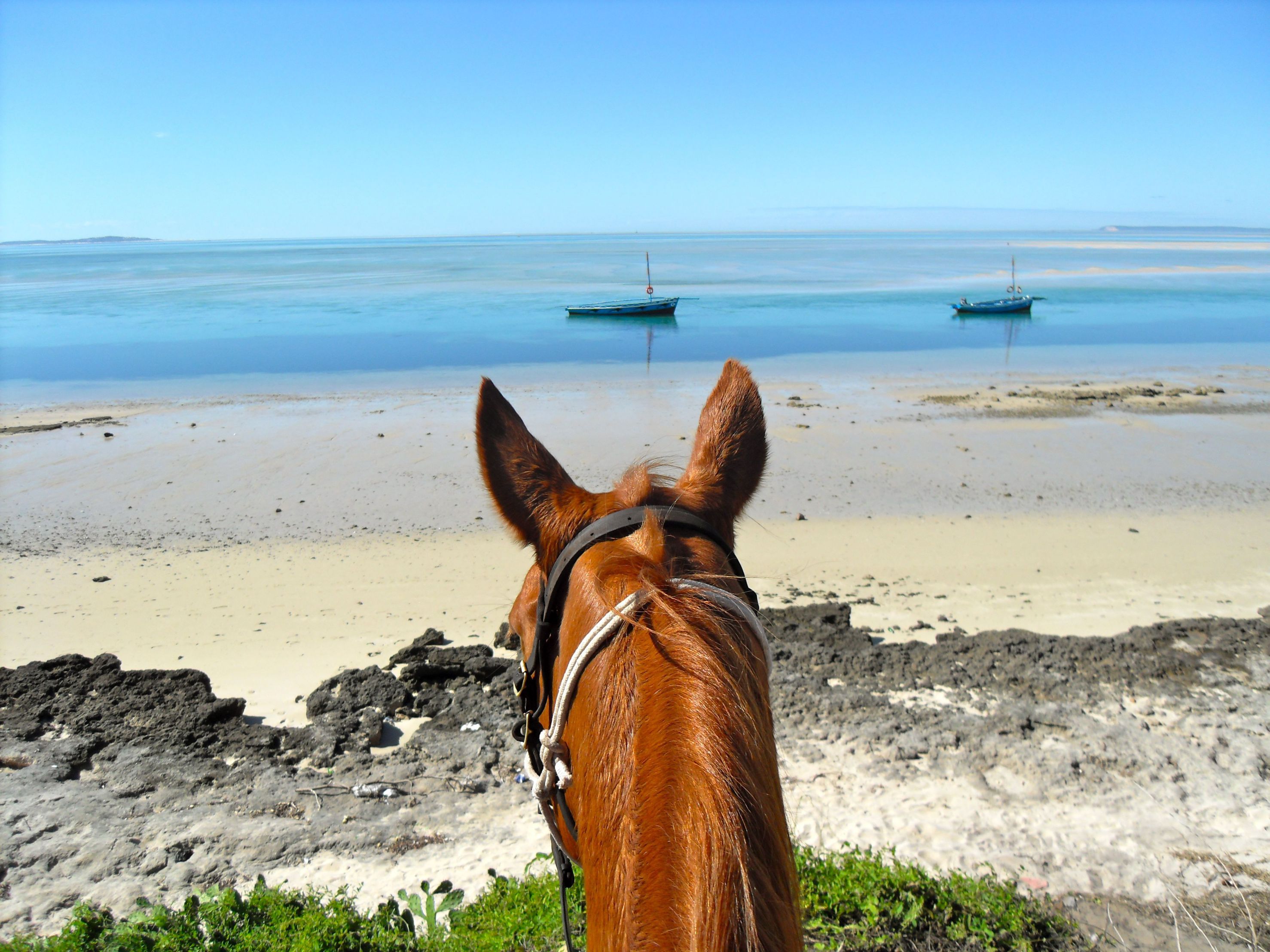 African Paradise - horseXperiences™ GO EQUESTRIAN