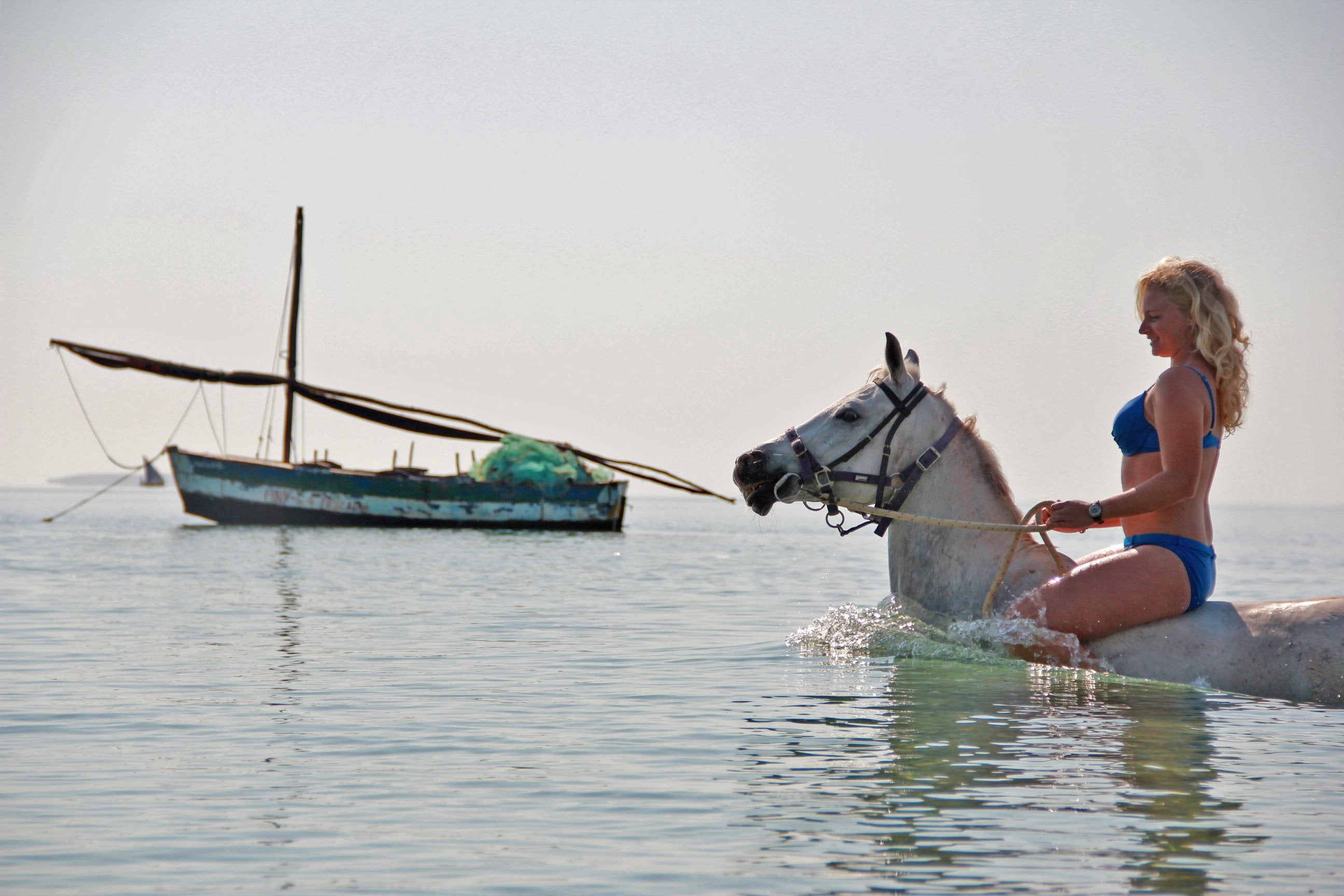 African Paradise - horseXperiences™ GO EQUESTRIAN