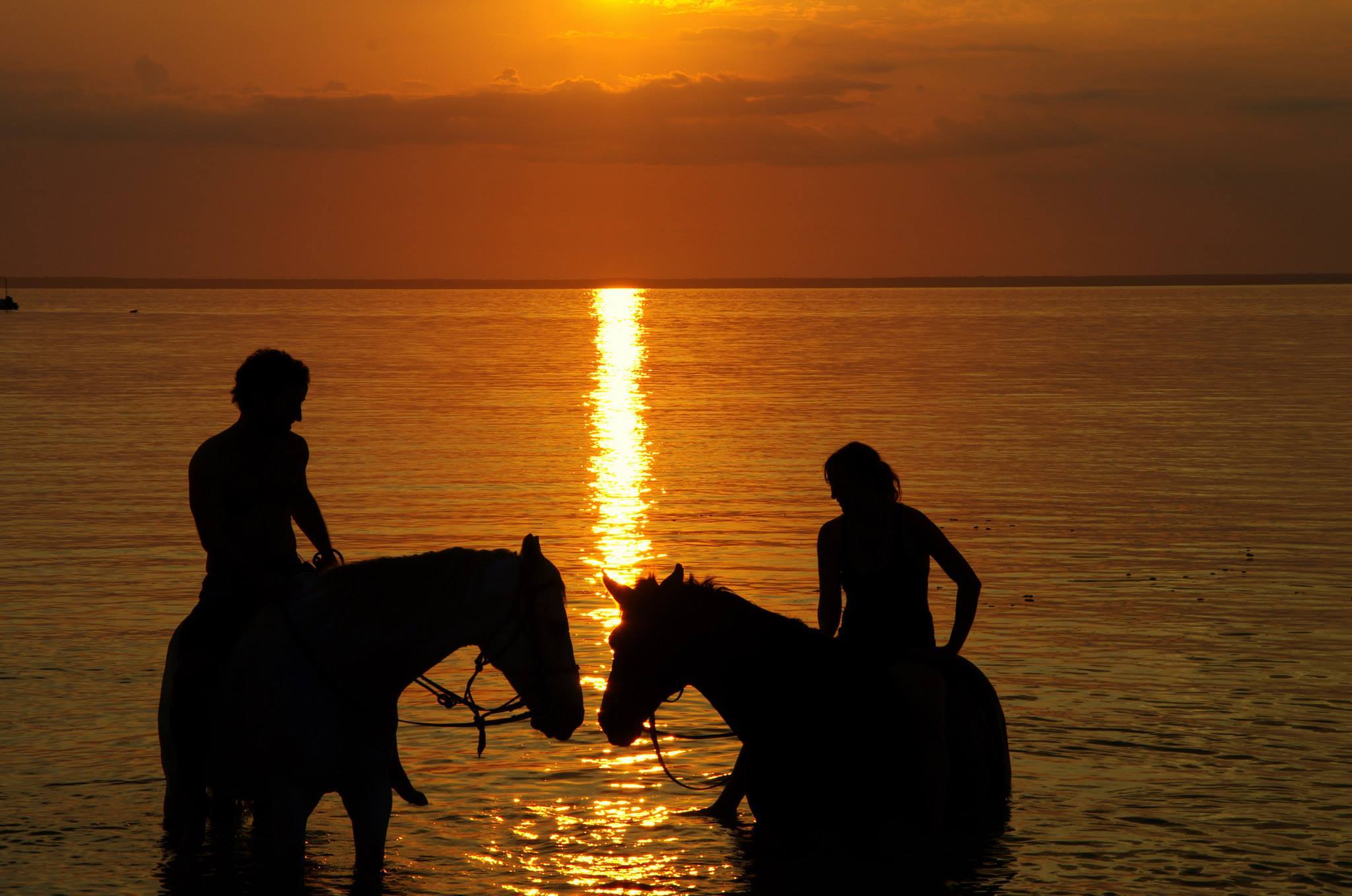 African Paradise - horseXperiences™ GO EQUESTRIAN