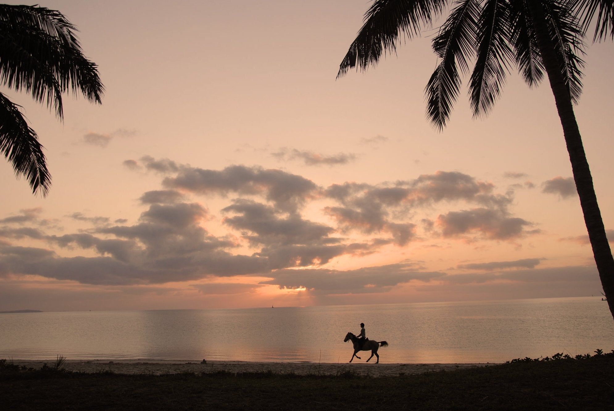 African Paradise - horseXperiences™ GO EQUESTRIAN