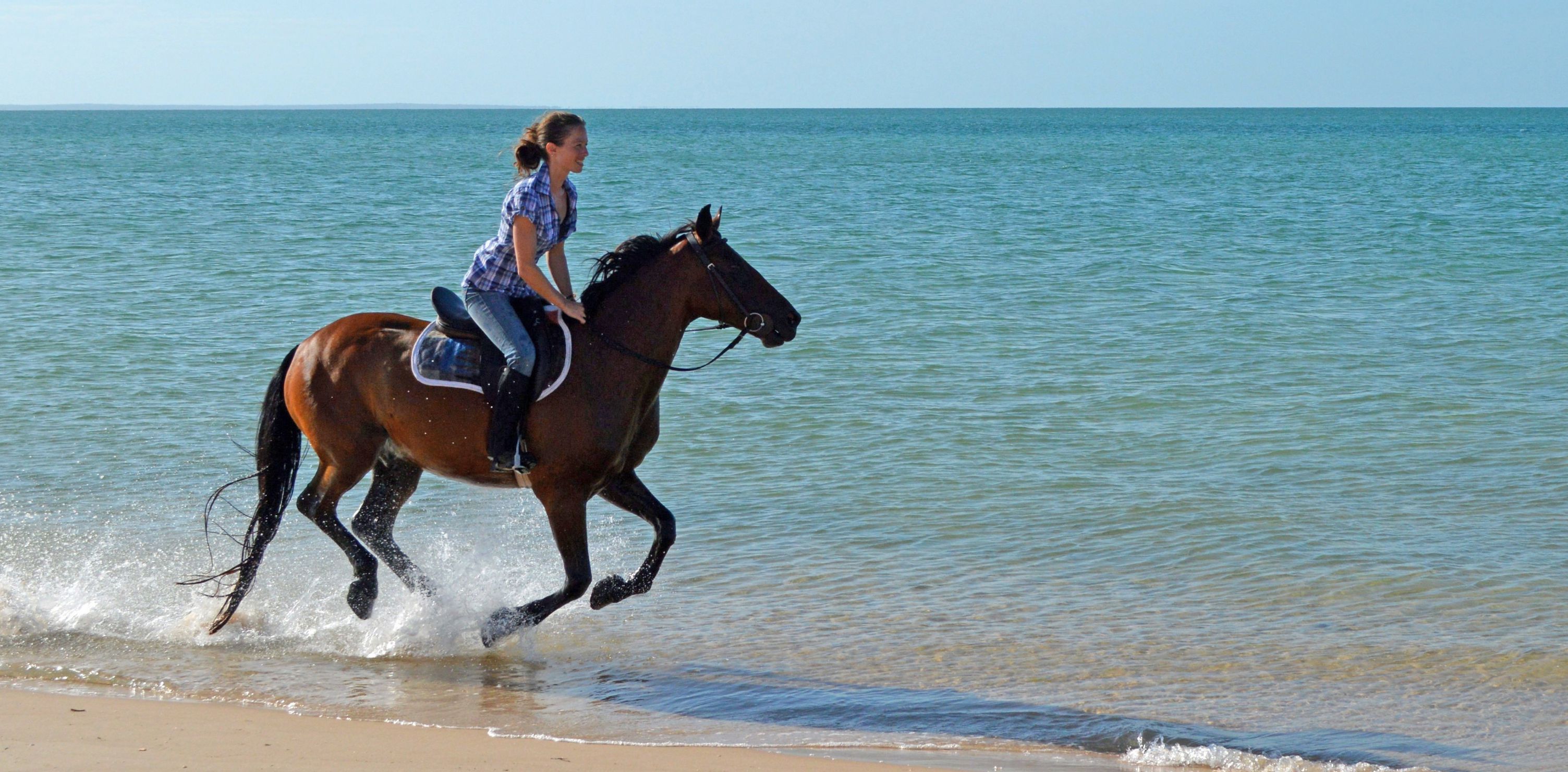 African Paradise - horseXperiences™ GO EQUESTRIAN