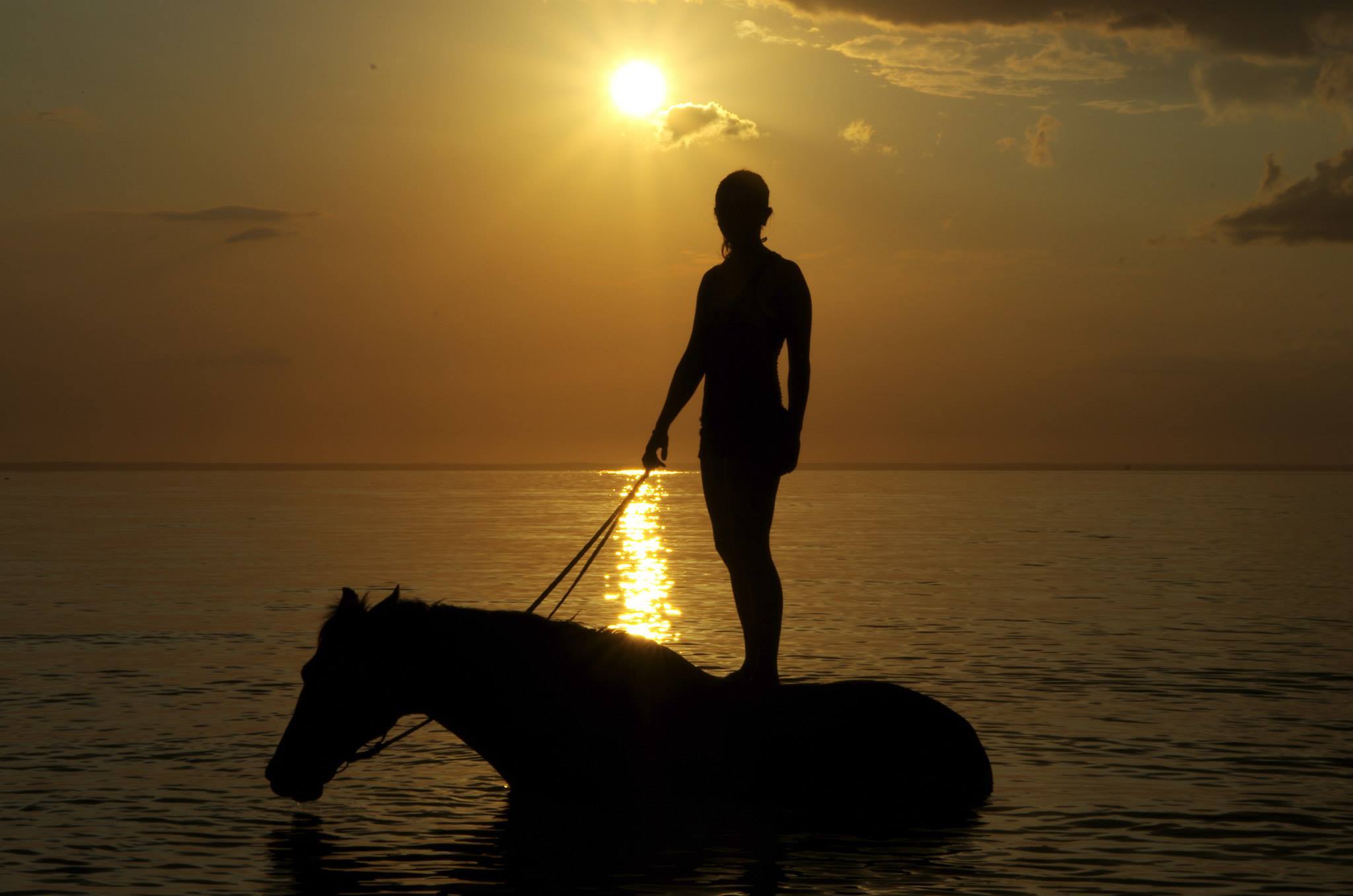 African Paradise - horseXperiences™ GO EQUESTRIAN