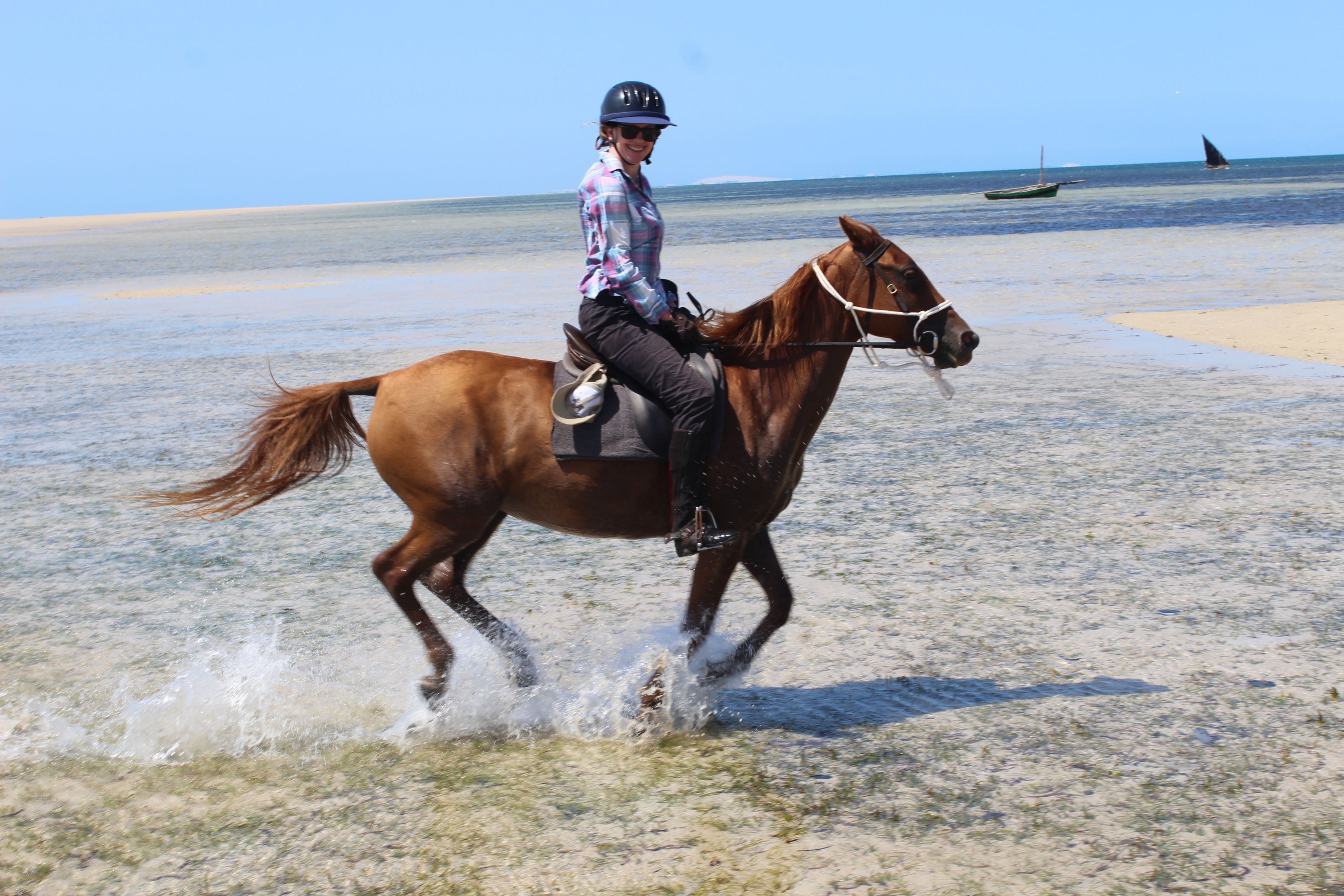 African Paradise - horseXperiences™ GO EQUESTRIAN