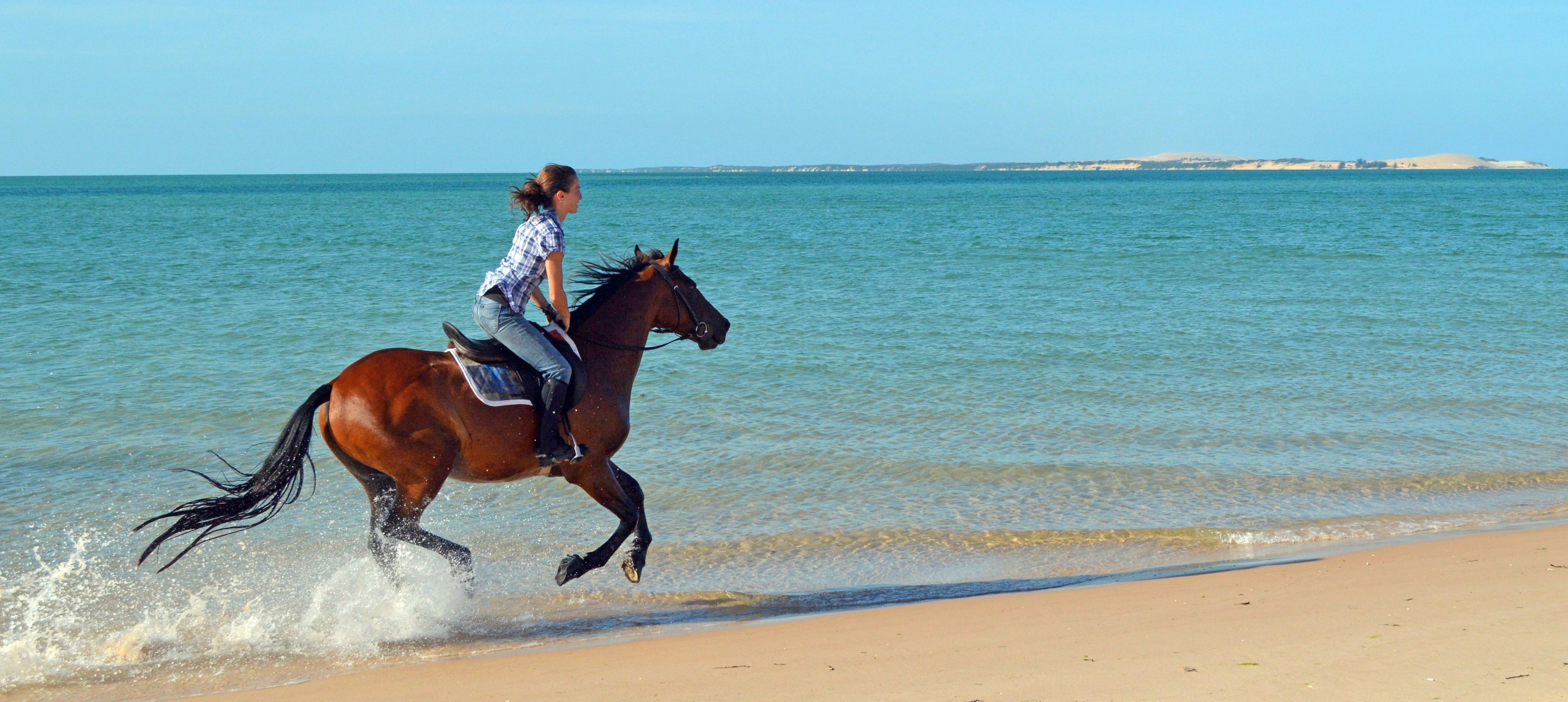 African Paradise - horseXperiences™ GO EQUESTRIAN