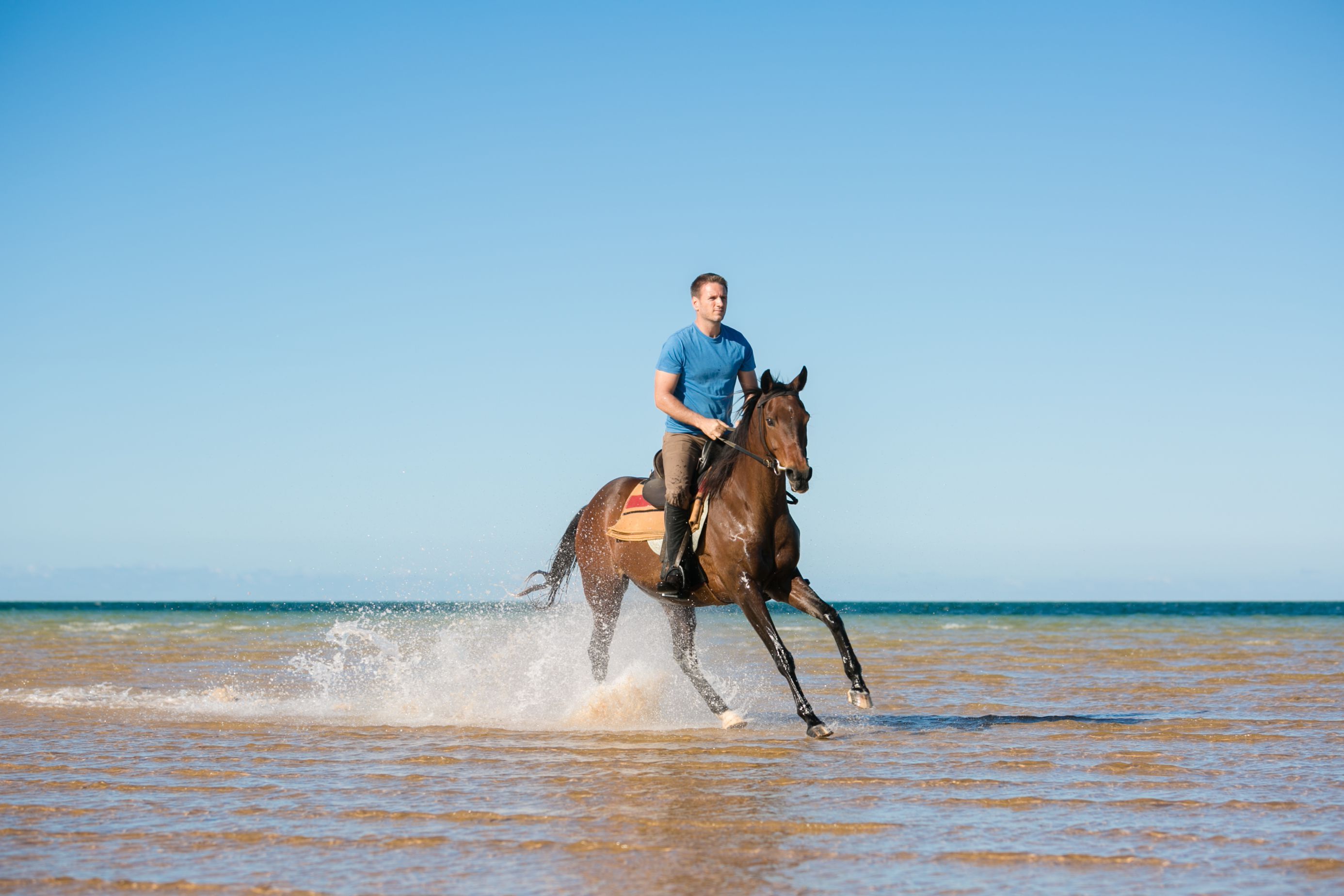 African Paradise - horseXperiences™ GO EQUESTRIAN