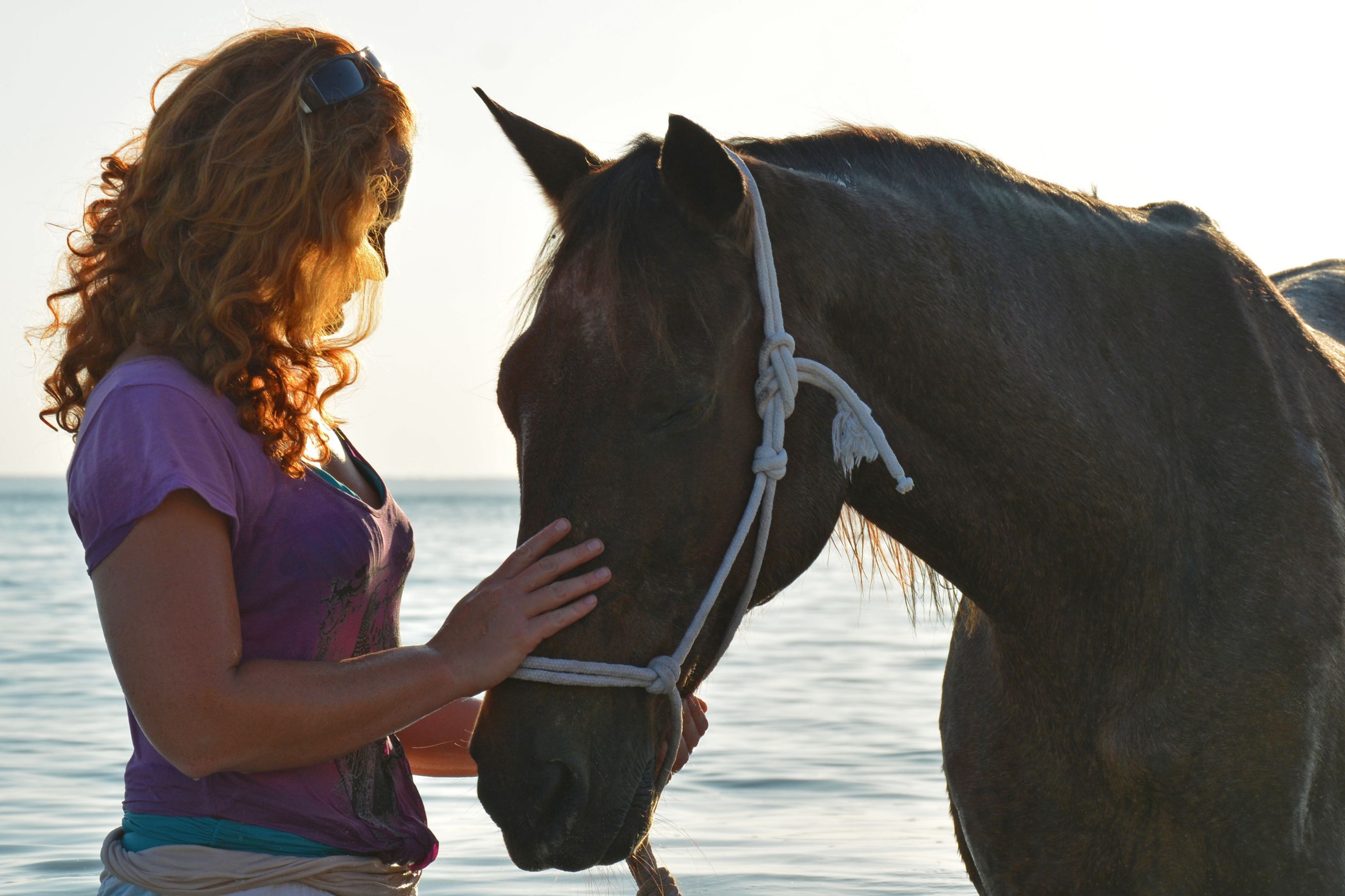 African Paradise - horseXperiences™ GO EQUESTRIAN