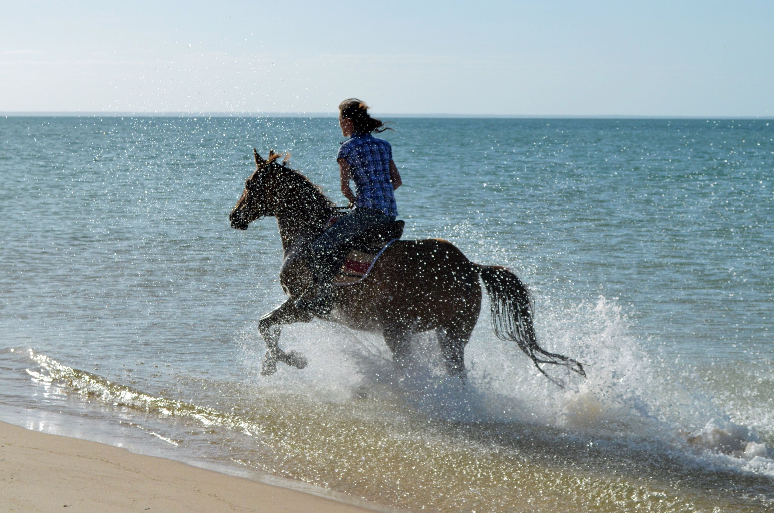 African Paradise - horseXperiences™ GO EQUESTRIAN