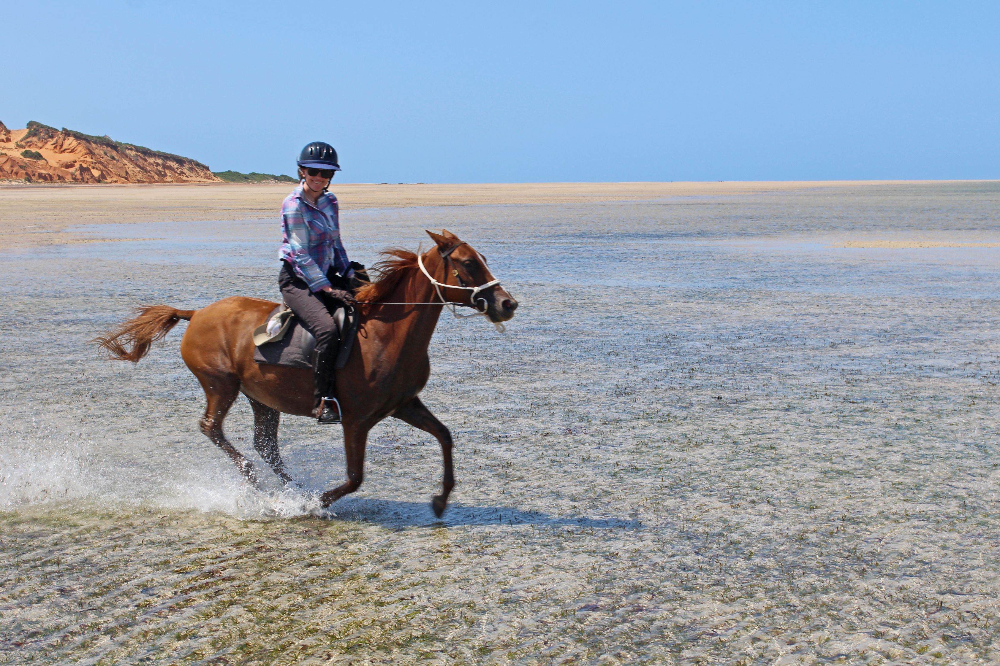 African Paradise - horseXperiences™ GO EQUESTRIAN