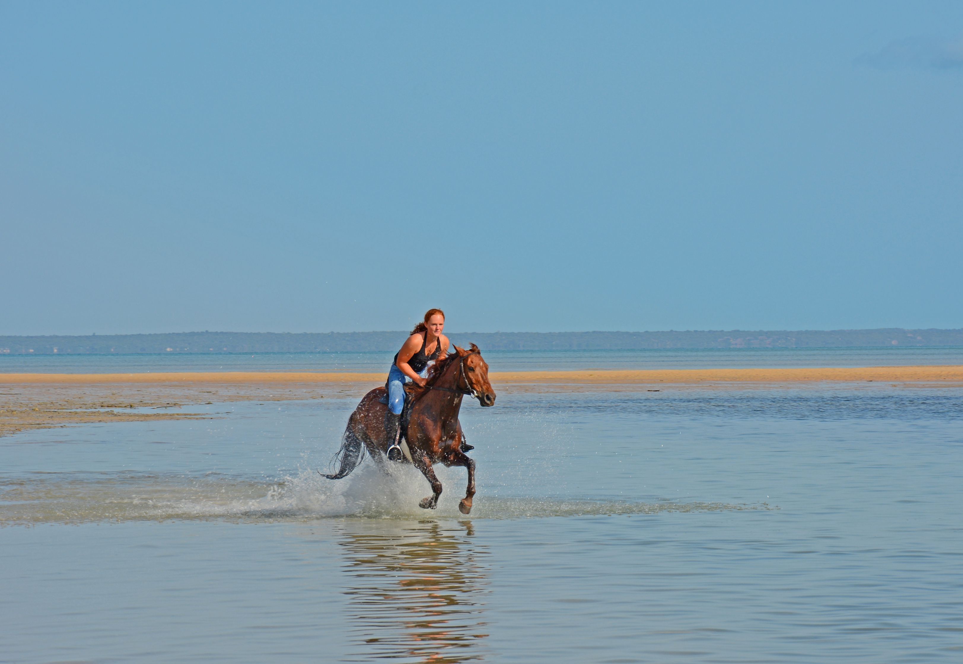 African Paradise - horseXperiences™ GO EQUESTRIAN