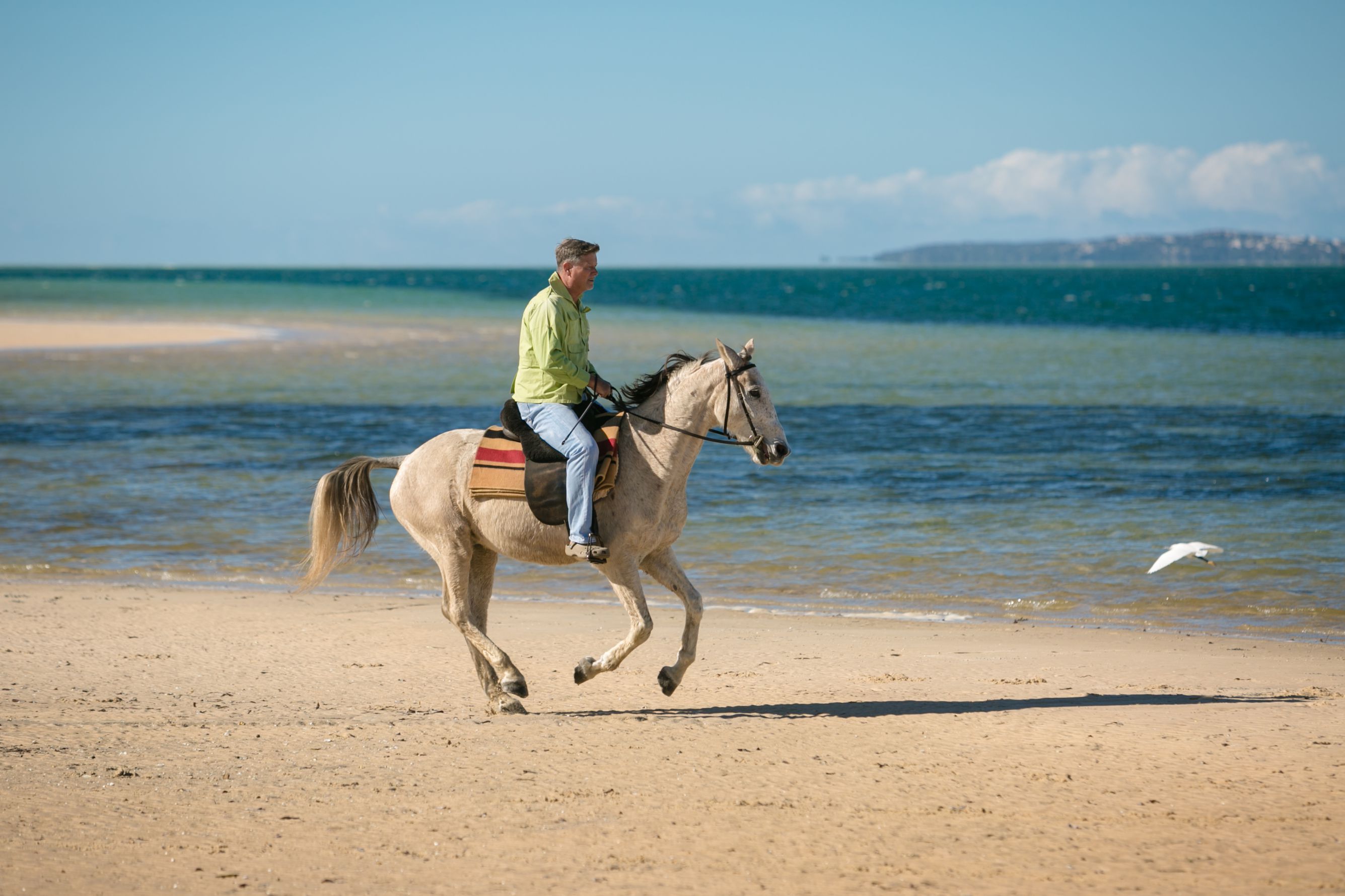 African Paradise - horseXperiences™ GO EQUESTRIAN