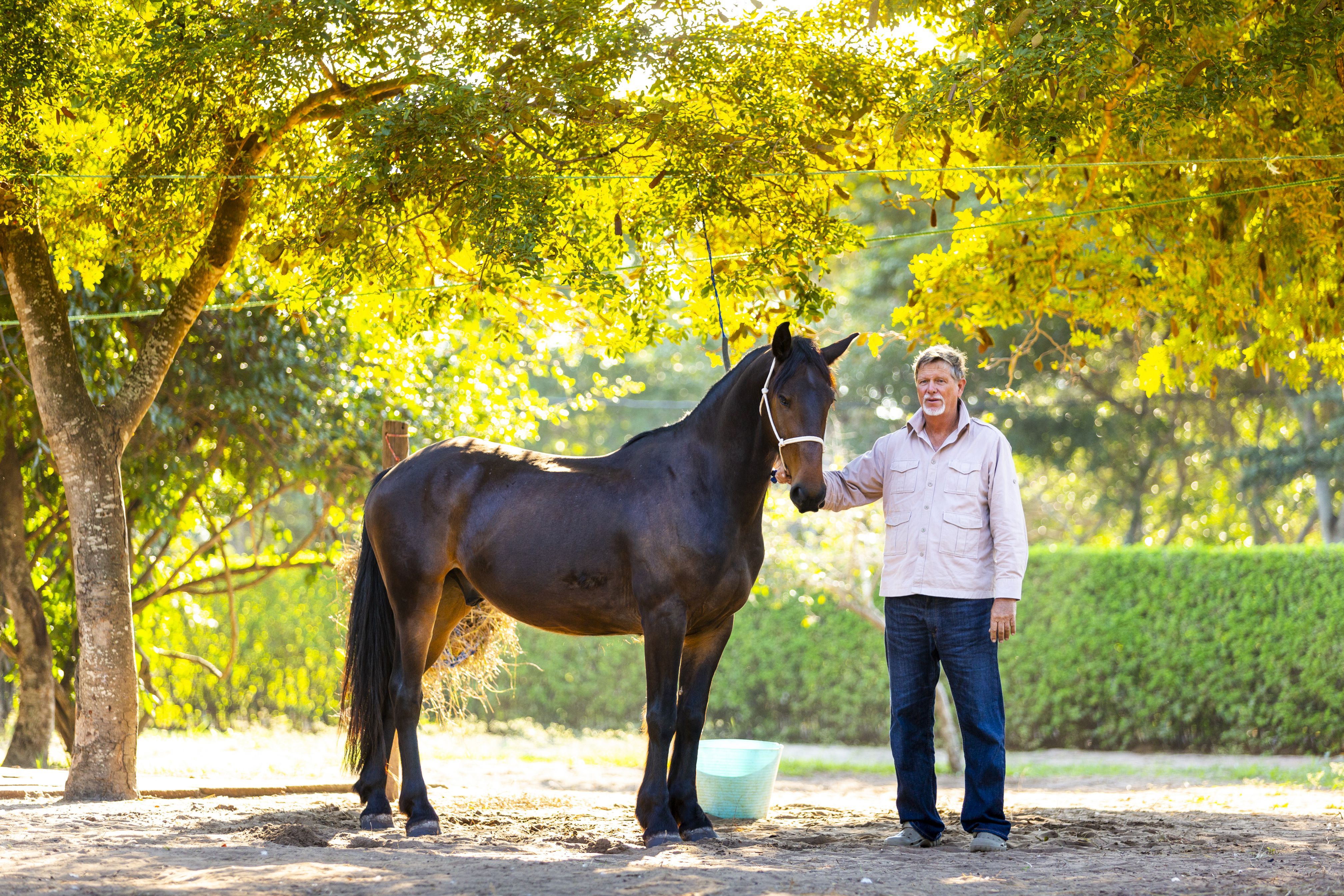 African Paradise - horseXperiences™ GO EQUESTRIAN