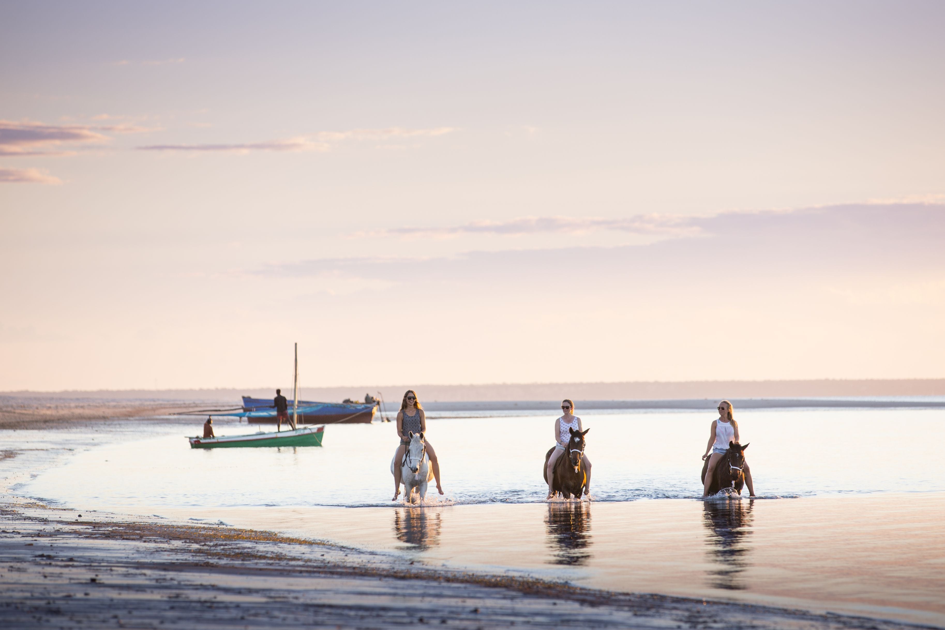 African Paradise - horseXperiences™ GO EQUESTRIAN