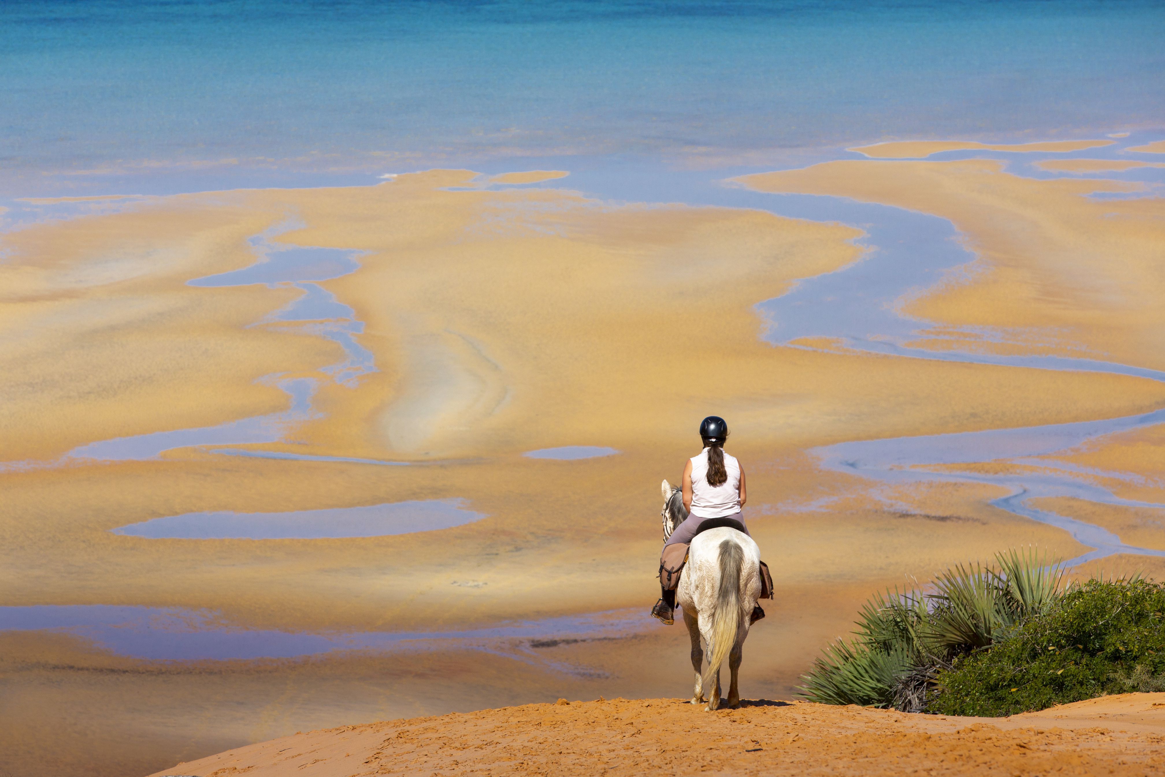 African Paradise - horseXperiences™ GO EQUESTRIAN